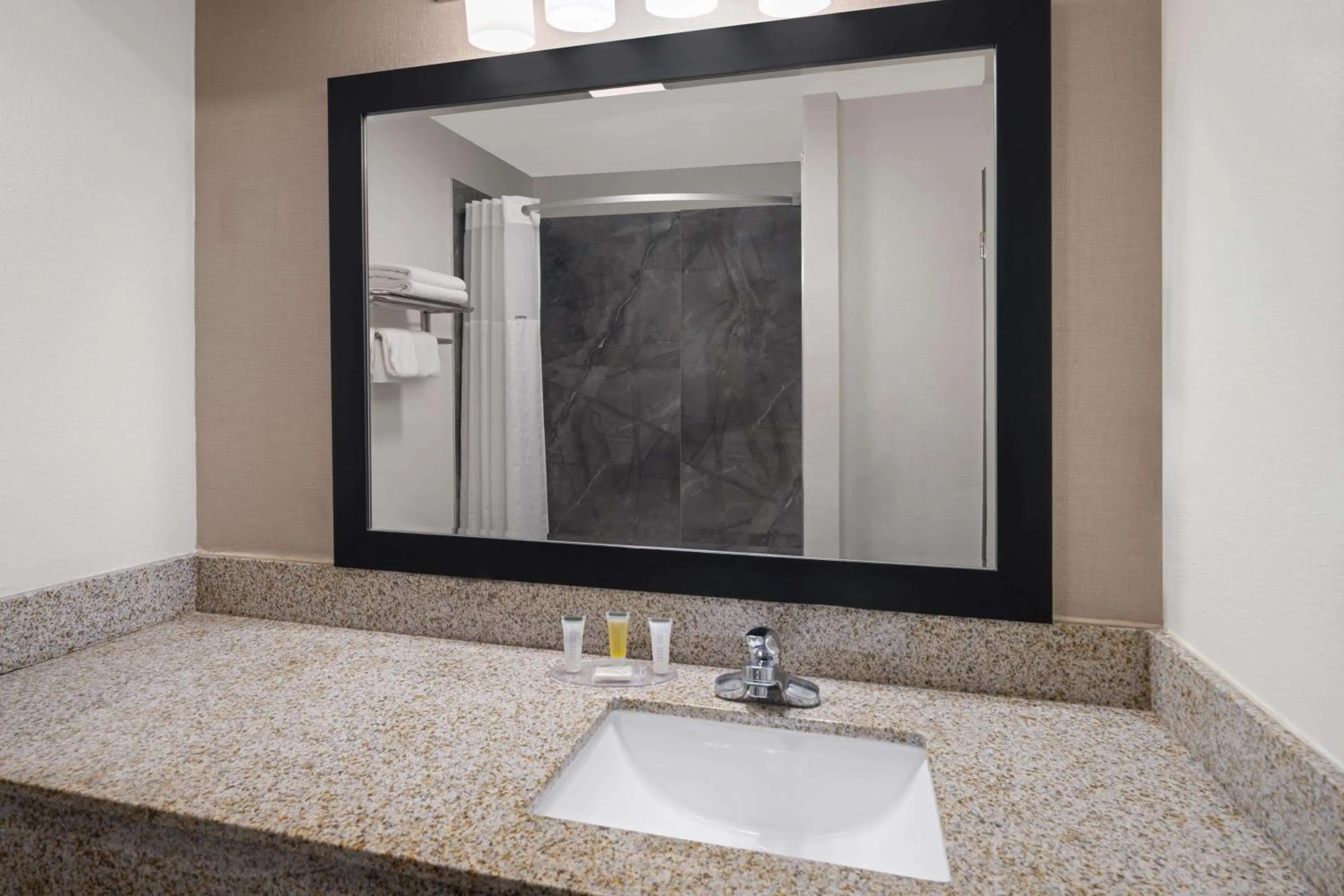 Bathroom in Ramada by Wyndham Locust Grove