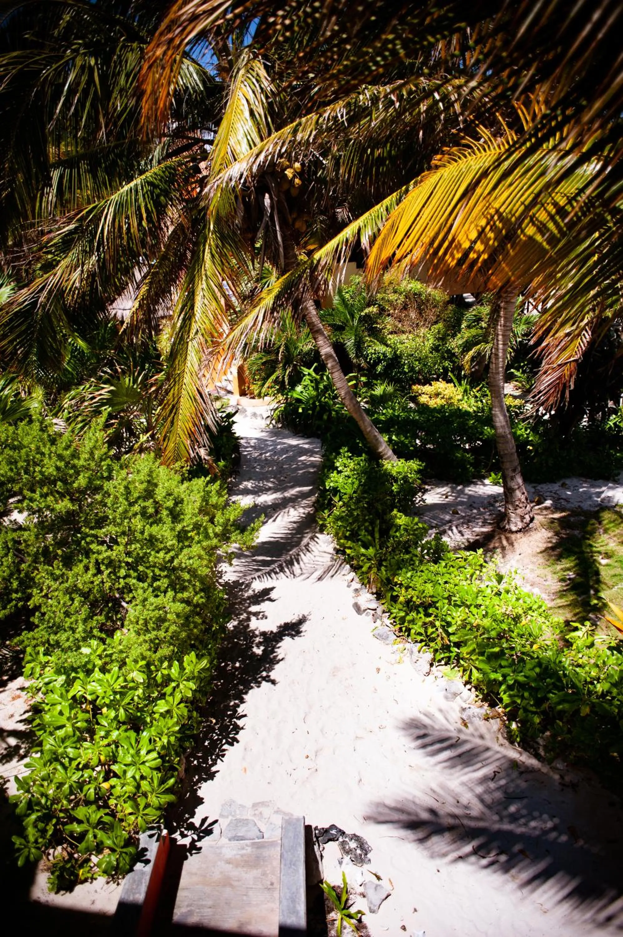 Garden in Mayan Beach Garden