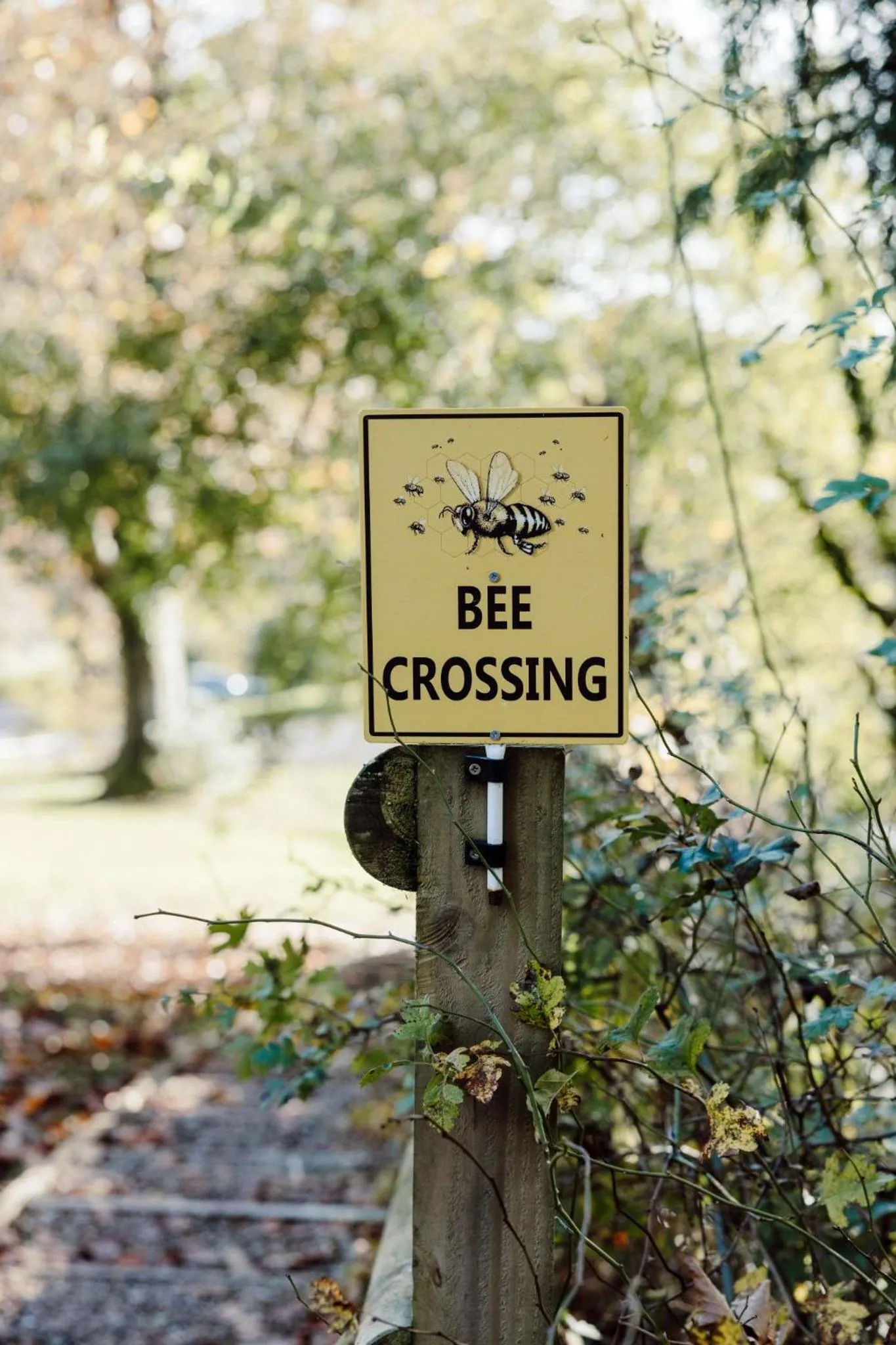 The Coed-Y-Mwstwr Hotel