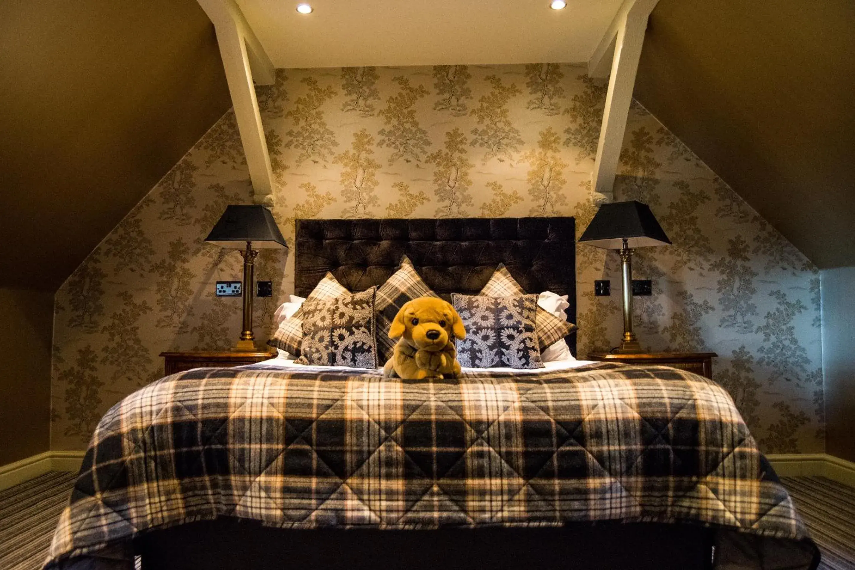 Coach House Double Room in The Coed-Y-Mwstwr Hotel Coach House Double Room in The Coed-Y-Mwstwr Hotel