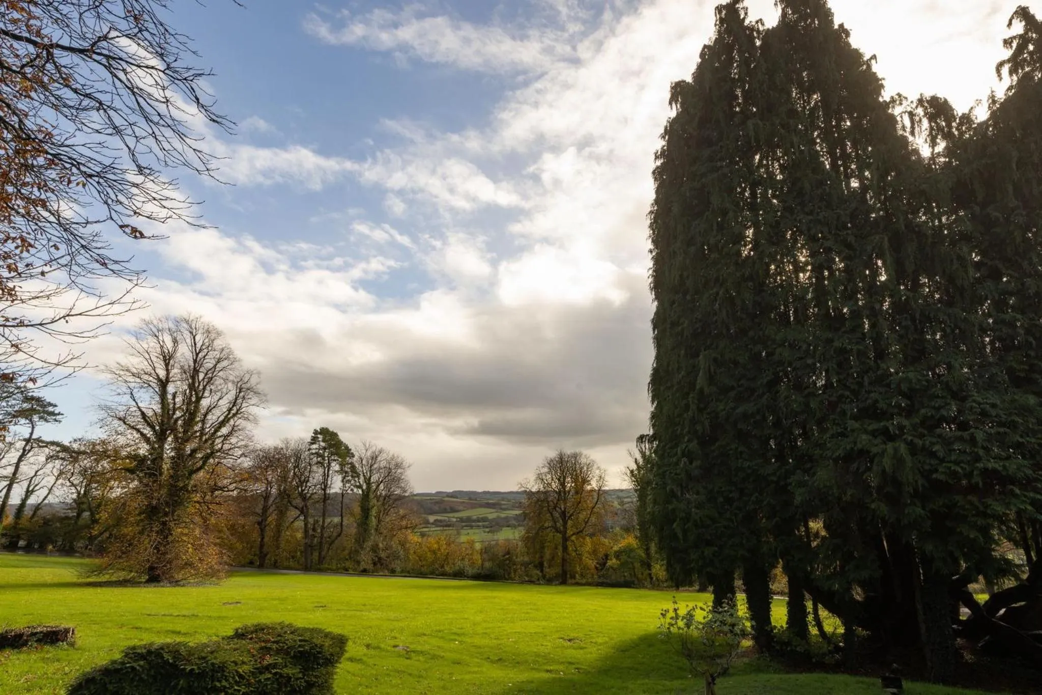 The Coed-Y-Mwstwr Hotel