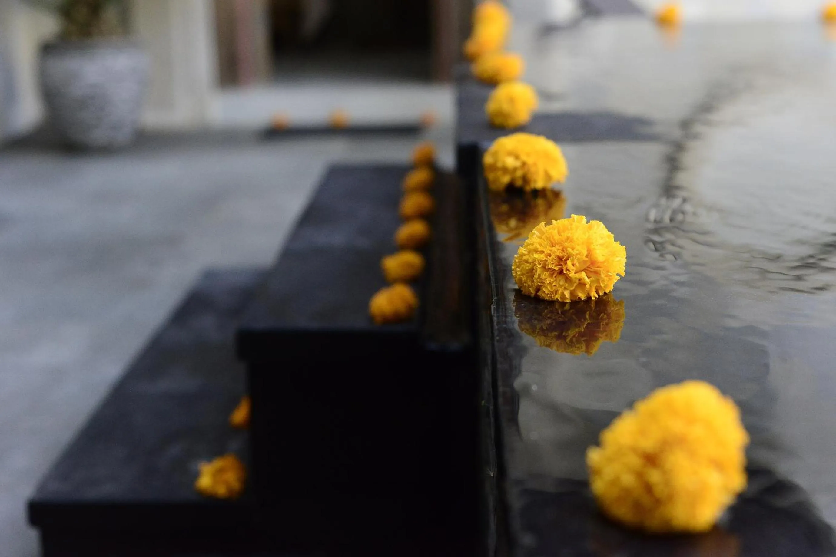 Area and facilities in Villa Kirani Ubud by Mahaputra-CHSE Certified