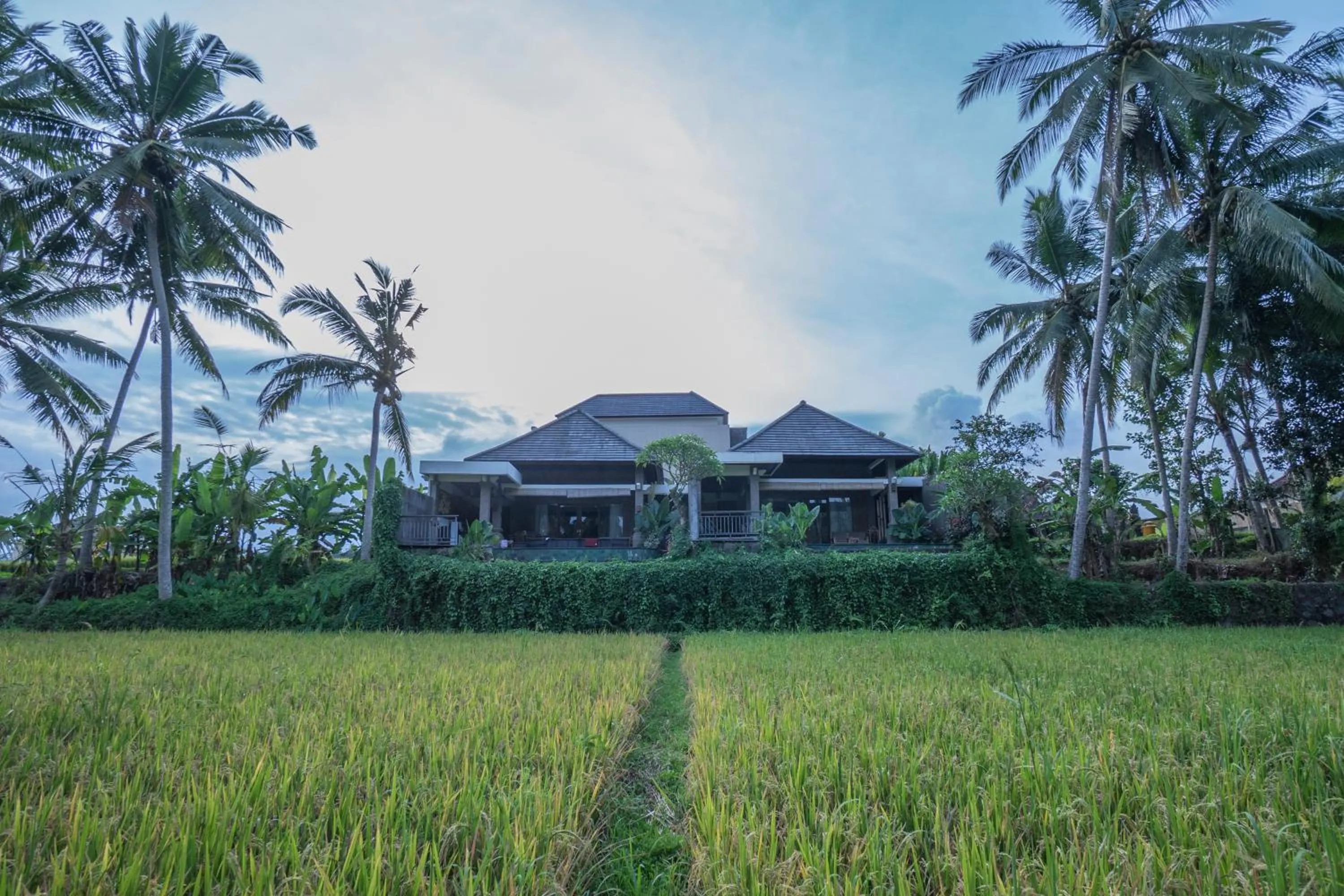 Other in Villa Kirani Ubud by Mahaputra-CHSE Certified