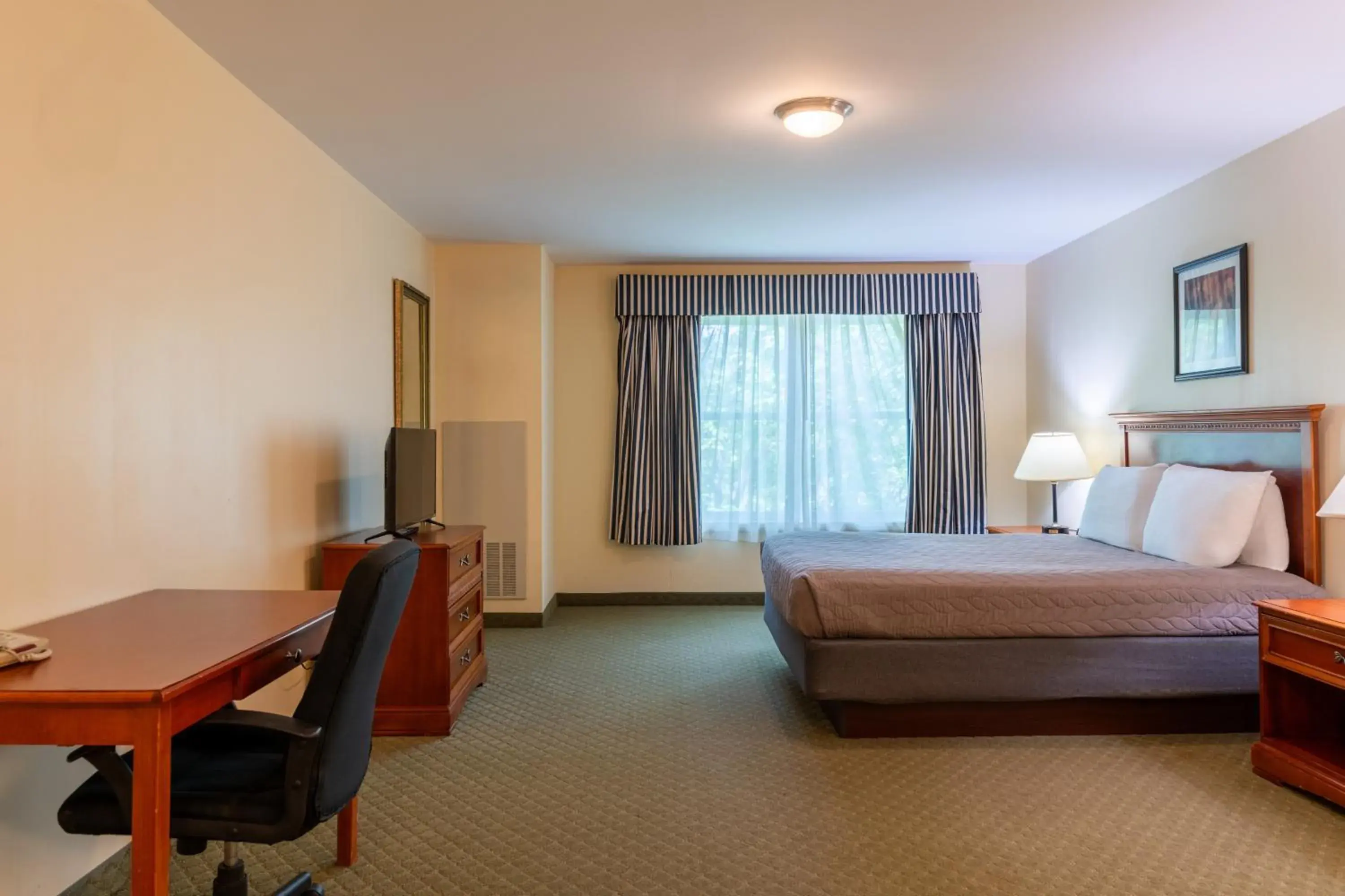 Queen Studio in White River Inn & Suites Queen Studio in White River Inn & Suites