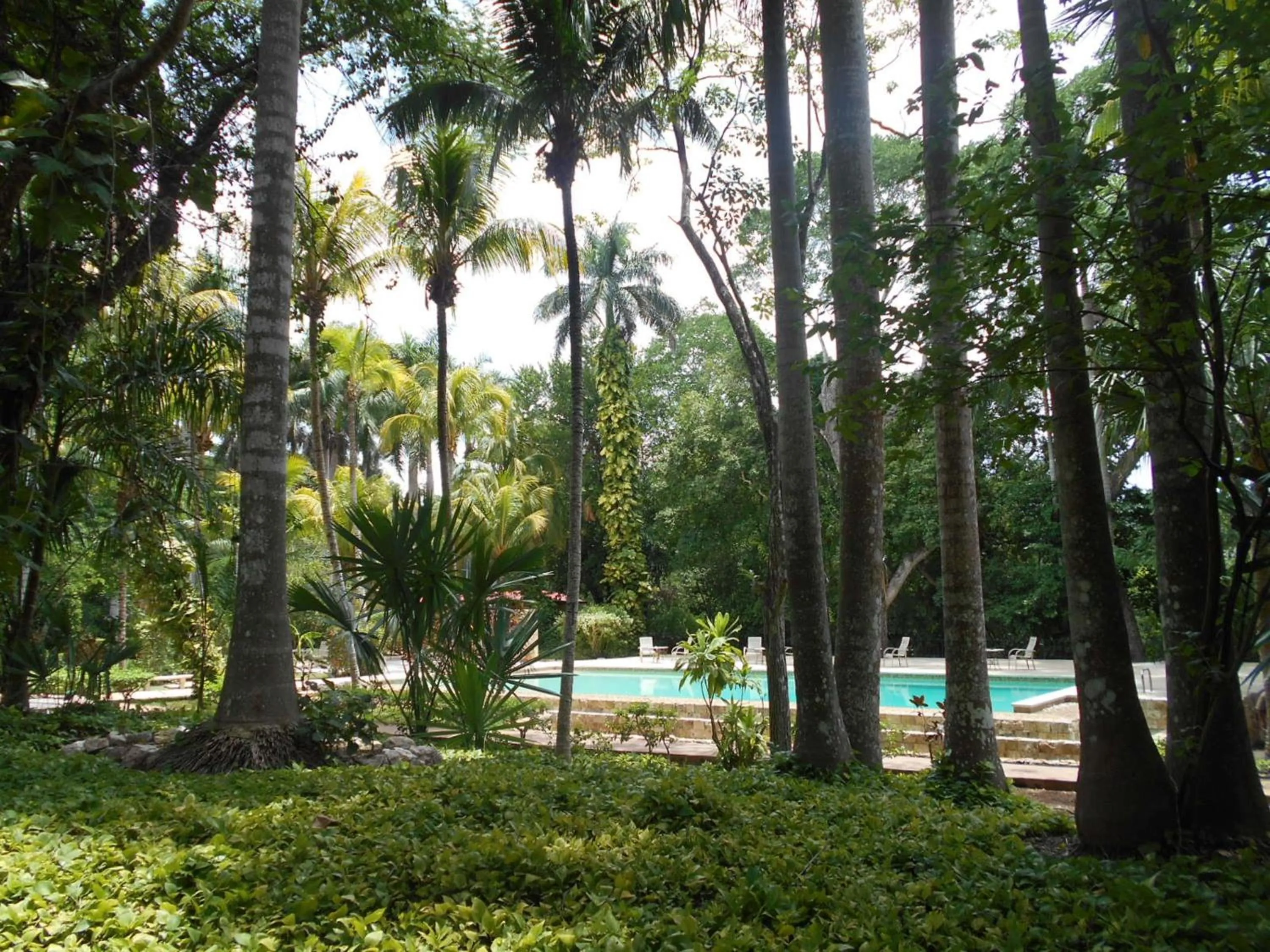Natural landscape in Hacienda Chichen Resort and Yaxkin Spa