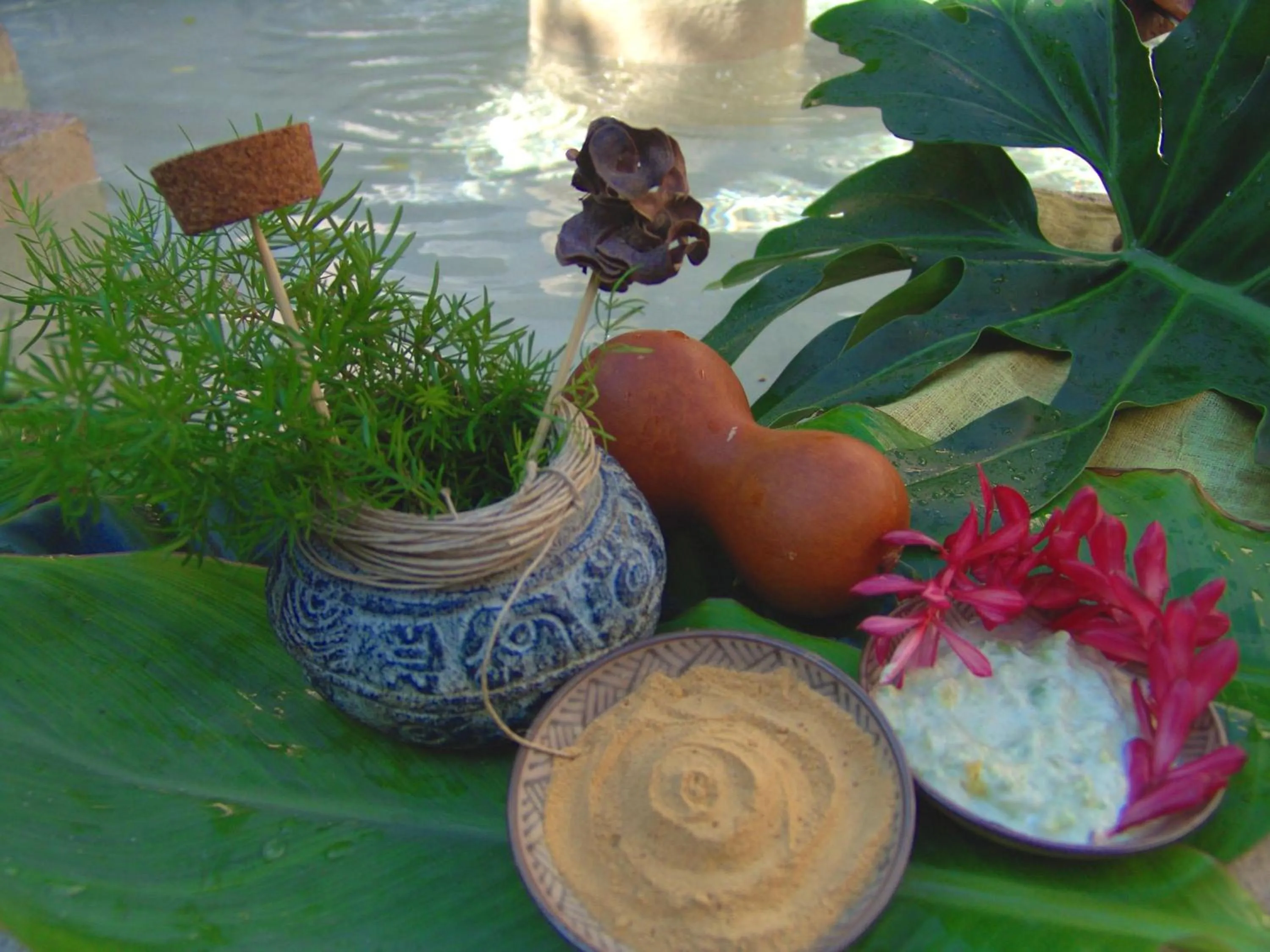 Spa and wellness centre/facilities in Hacienda Chichen Resort and Yaxkin Spa