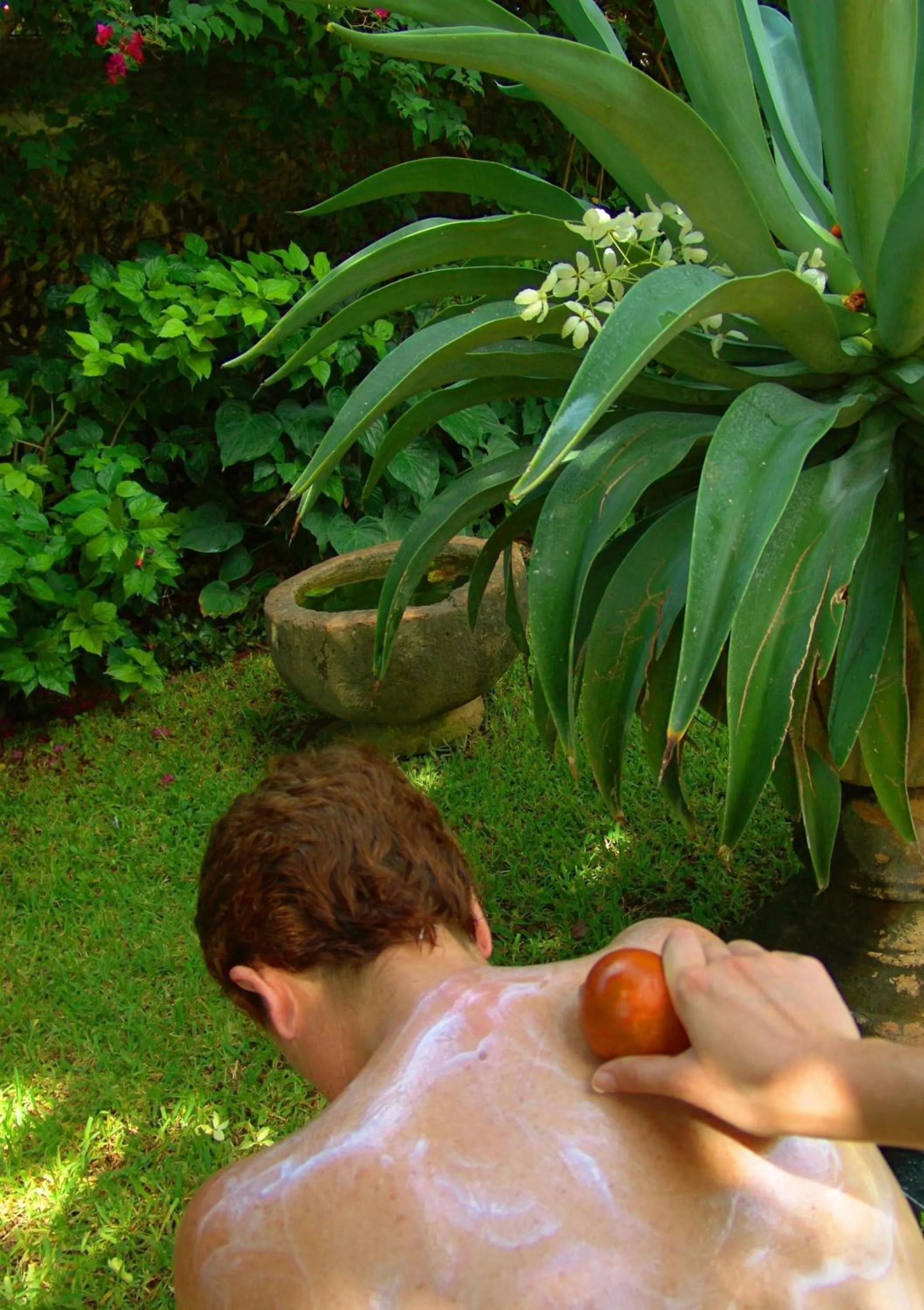 Garden in Hacienda Chichen Resort and Yaxkin Spa