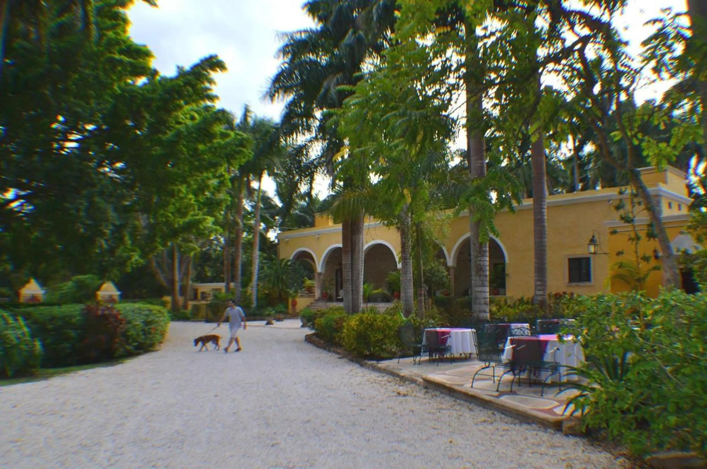 Patio in Hacienda Chichen Resort and Yaxkin Spa