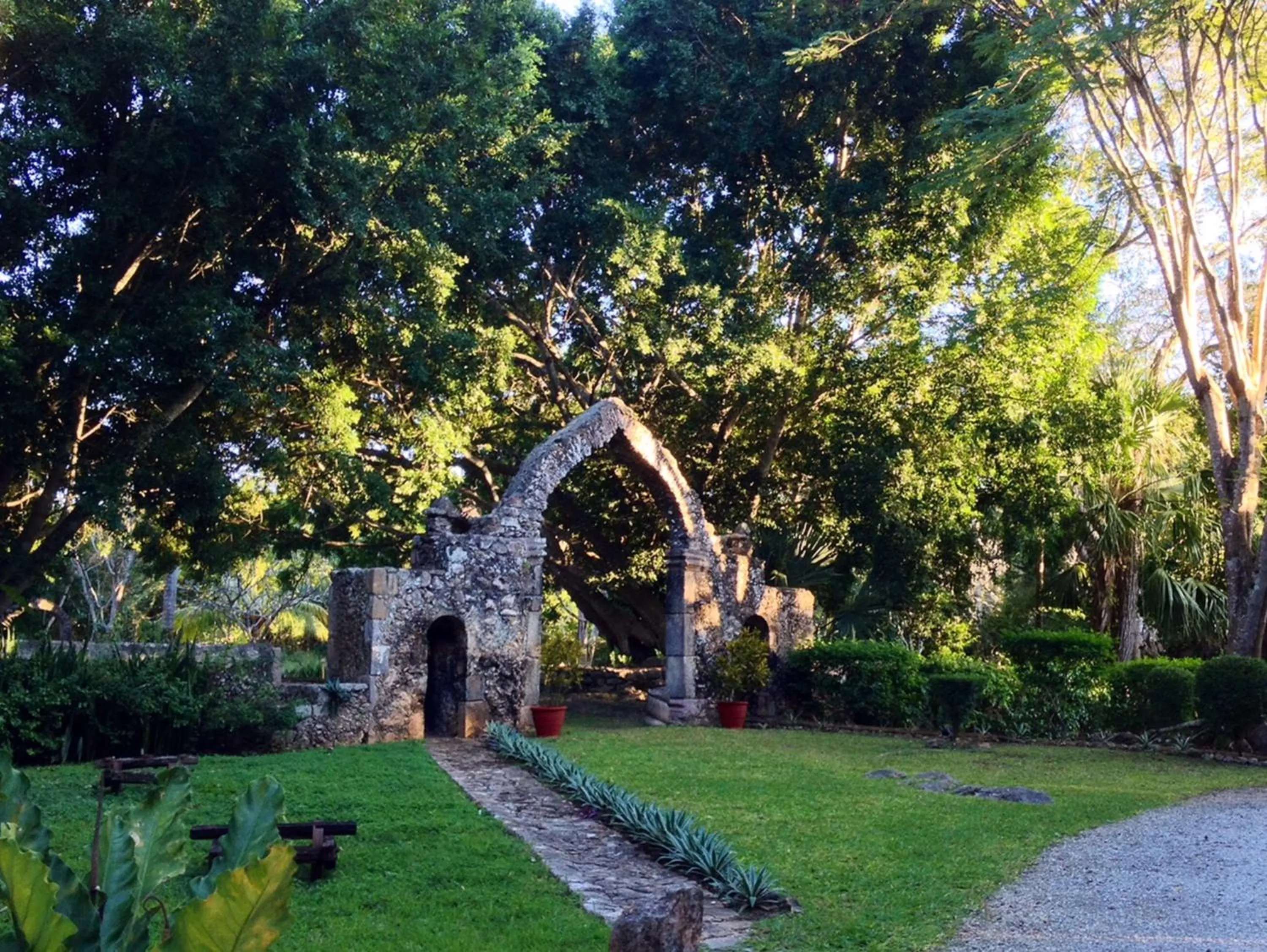 Natural landscape in Hacienda Chichen Resort and Yaxkin Spa