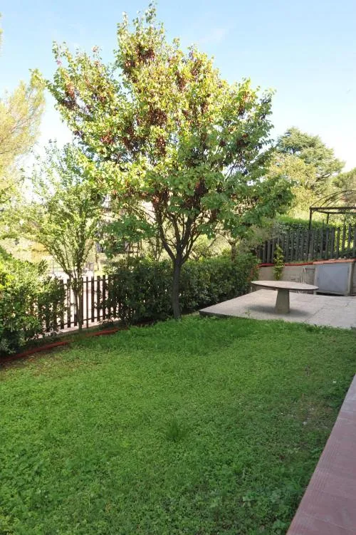 Day in Holiday House Aurora