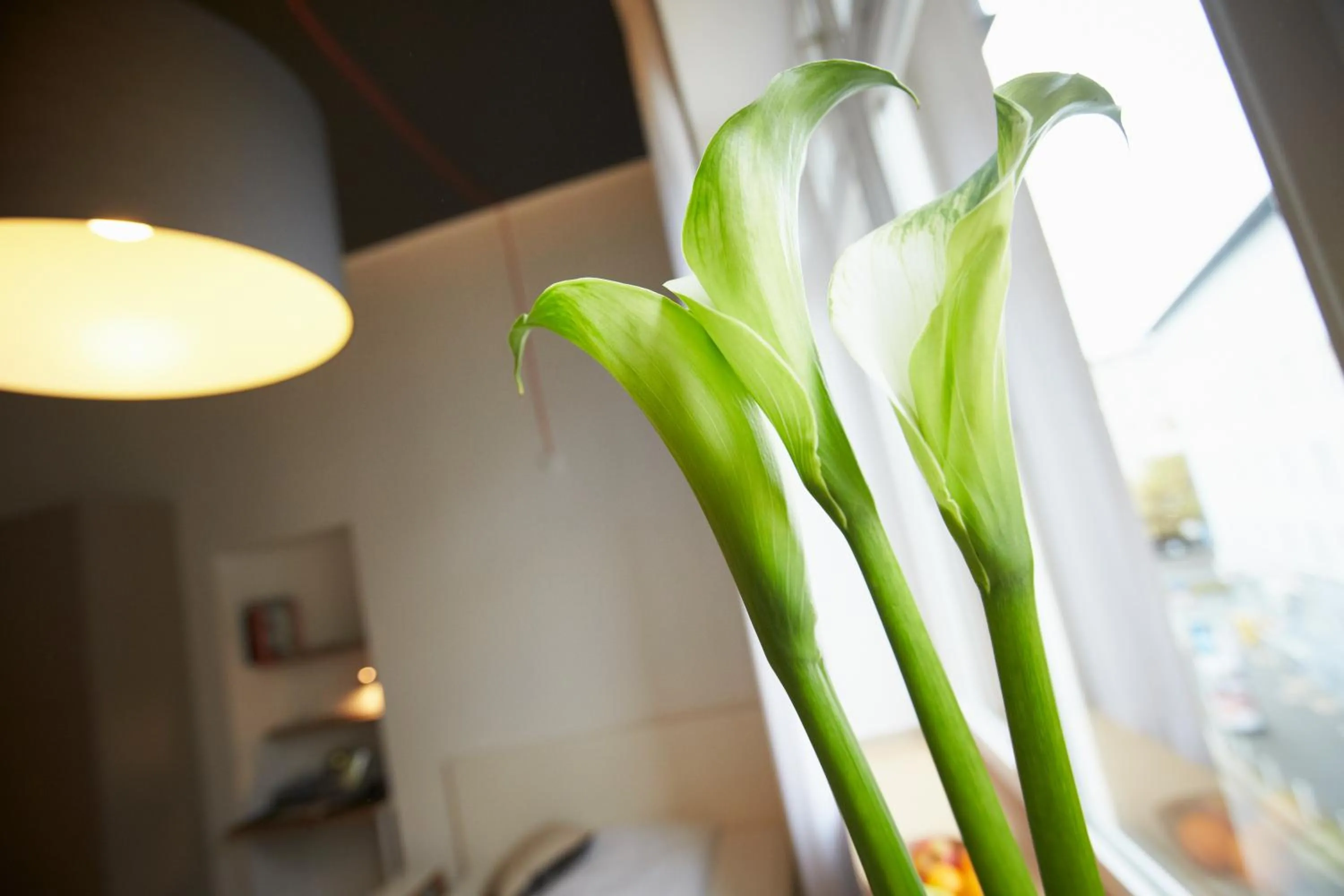 Bed in Aparthotel TU-TU