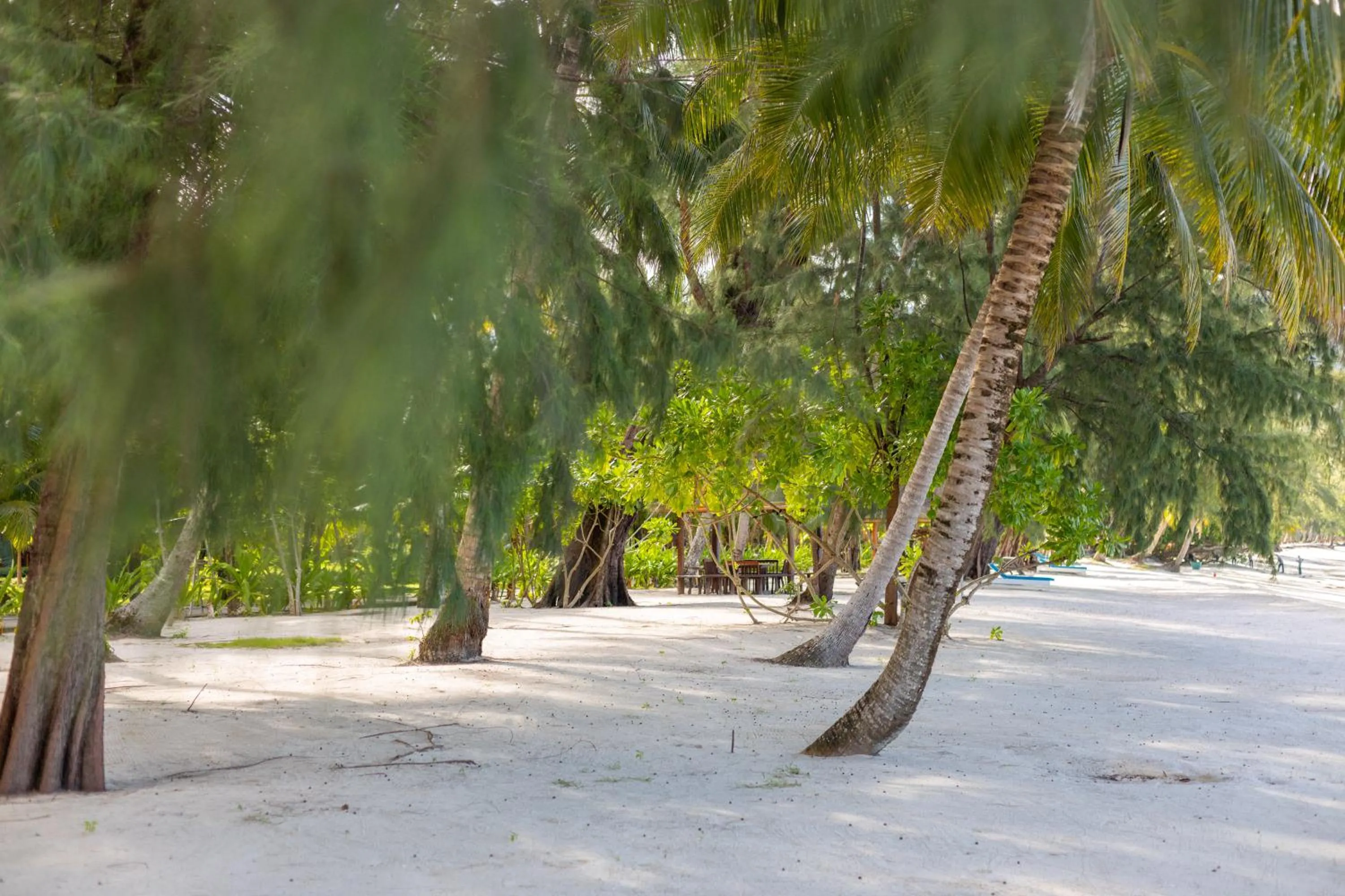 Beach in Mafiya Resort