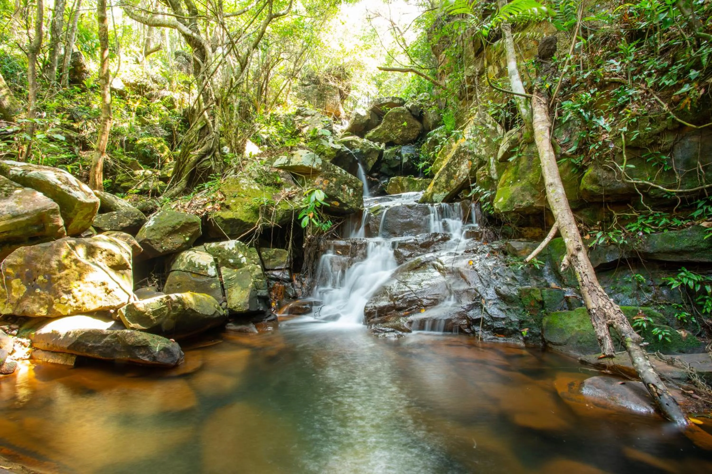 Natural landscape in Mafiya Resort