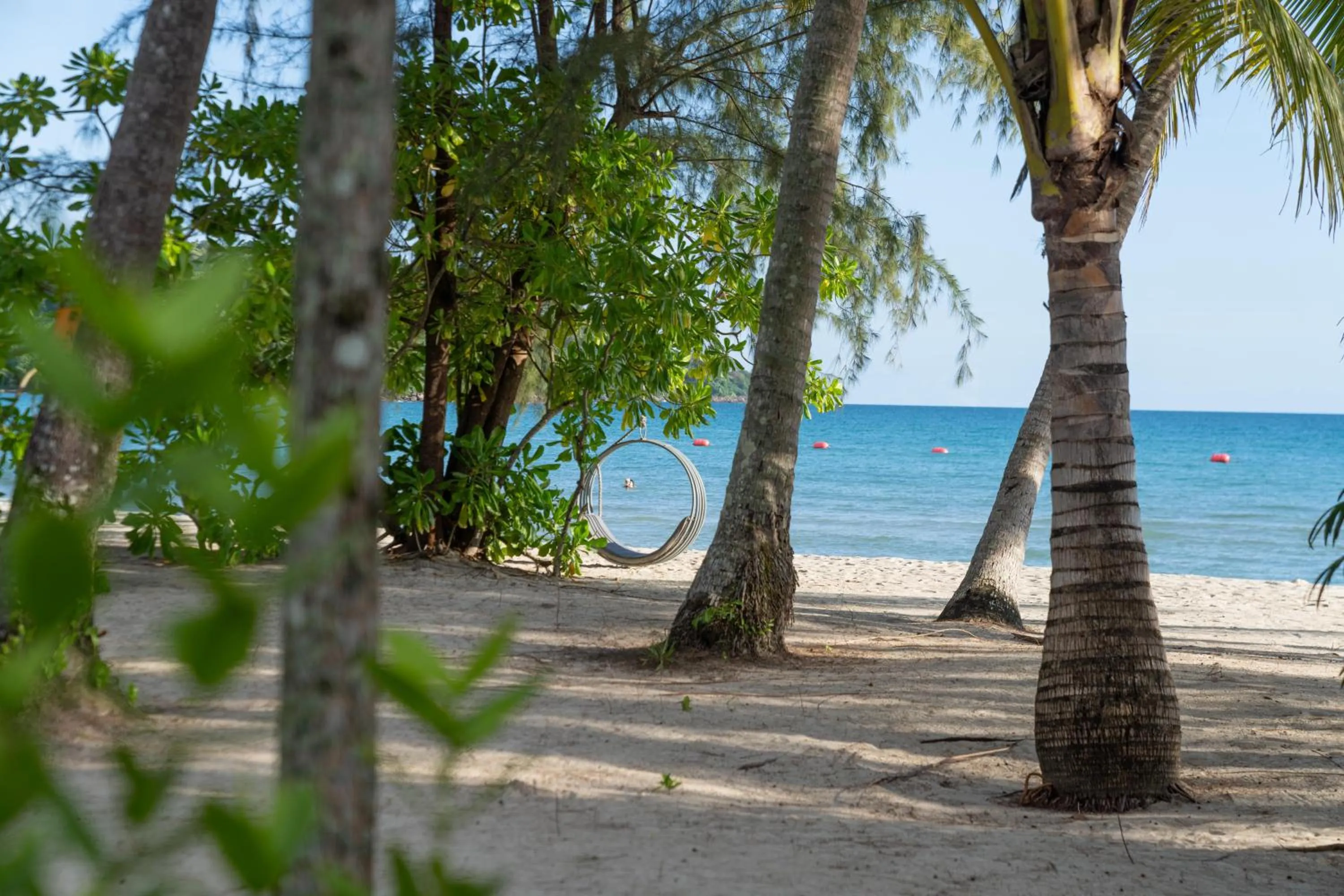 View (from property/room) in Mafiya Resort