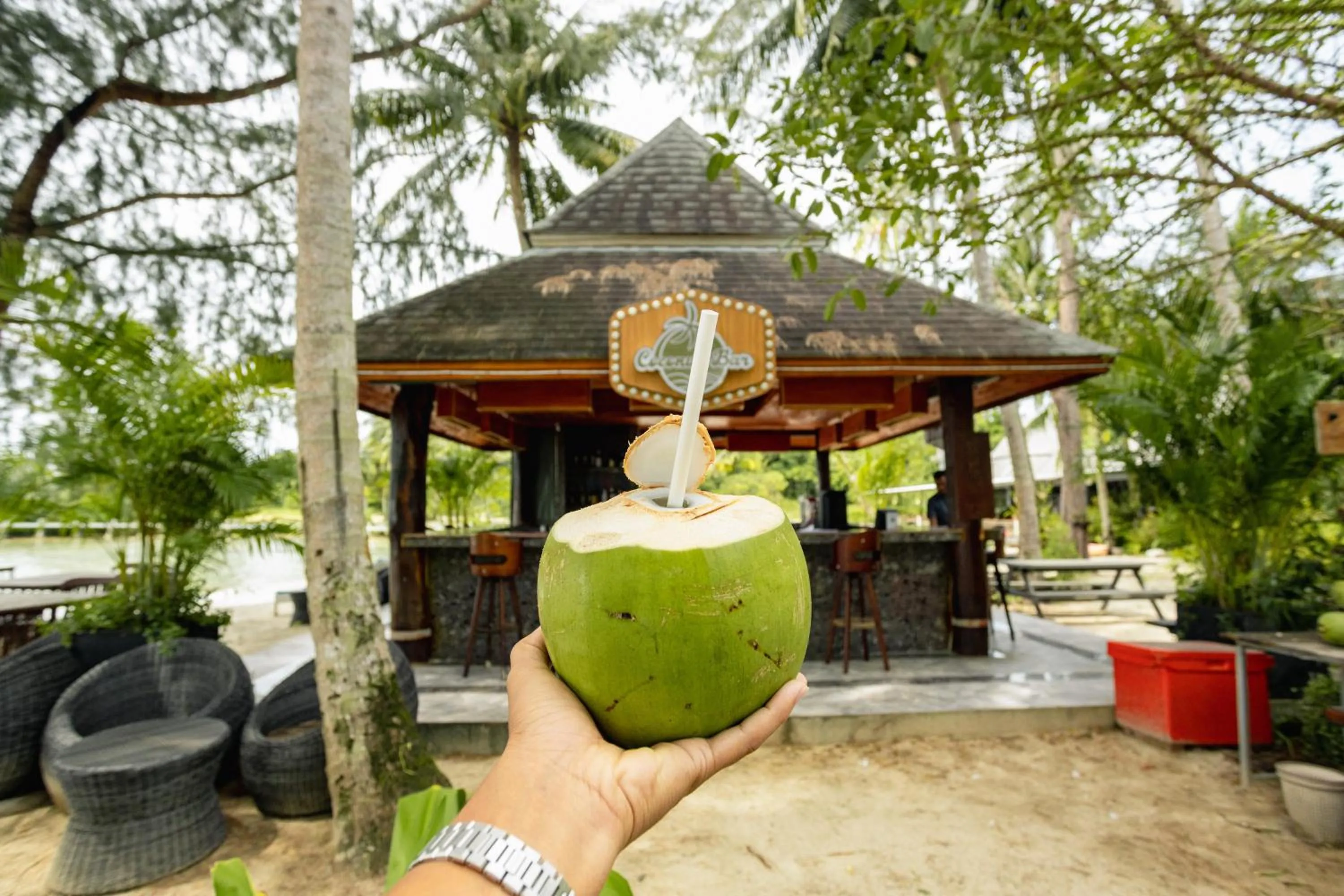 Lounge or bar in Mafiya Resort