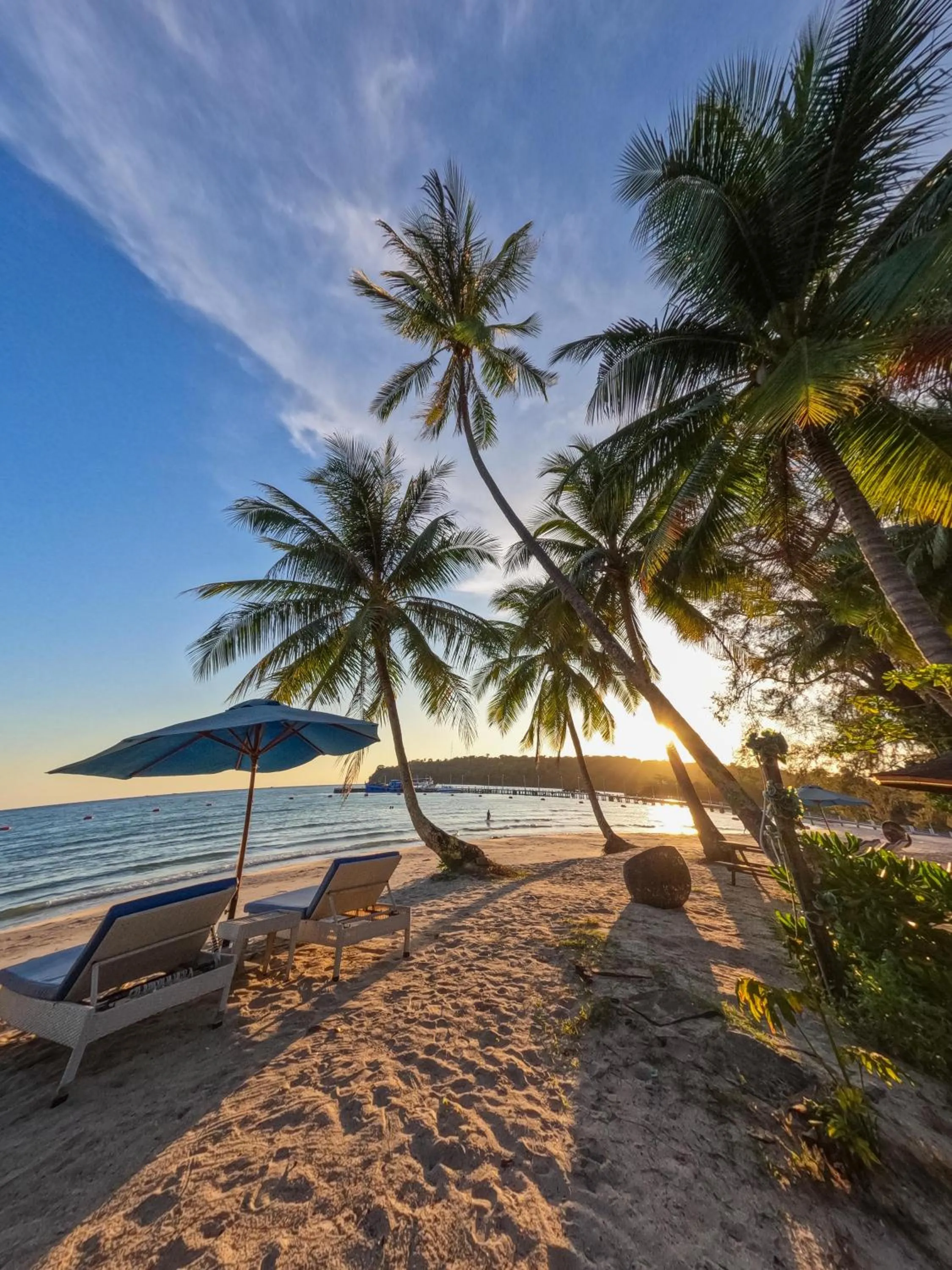 Area and facilities in Mafiya Resort