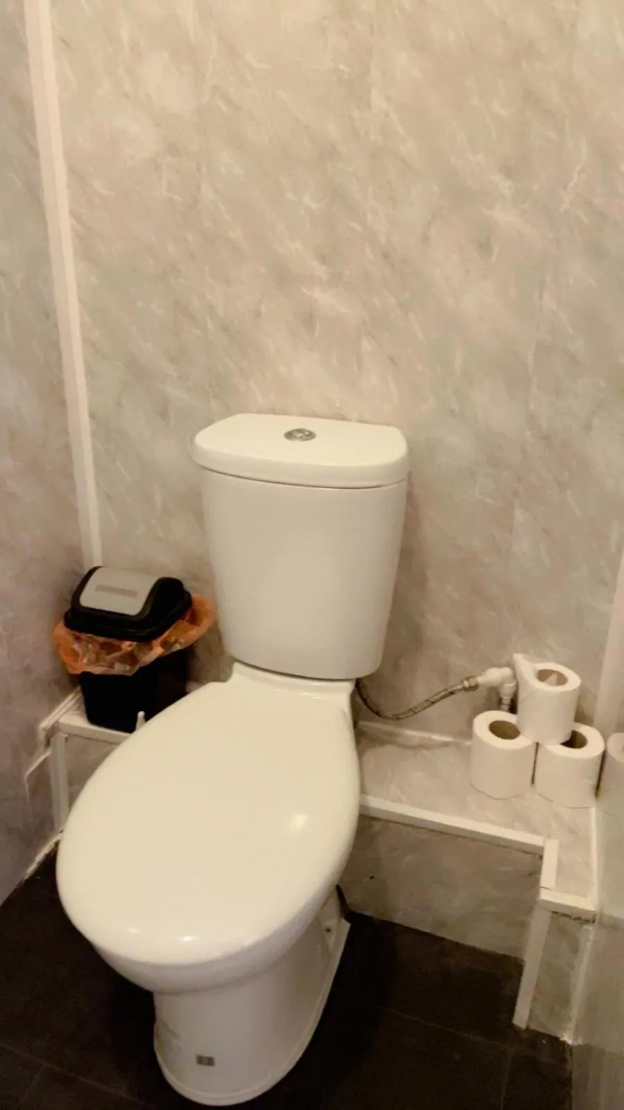 Toilet in Fern Villa Hotel - Albert Road