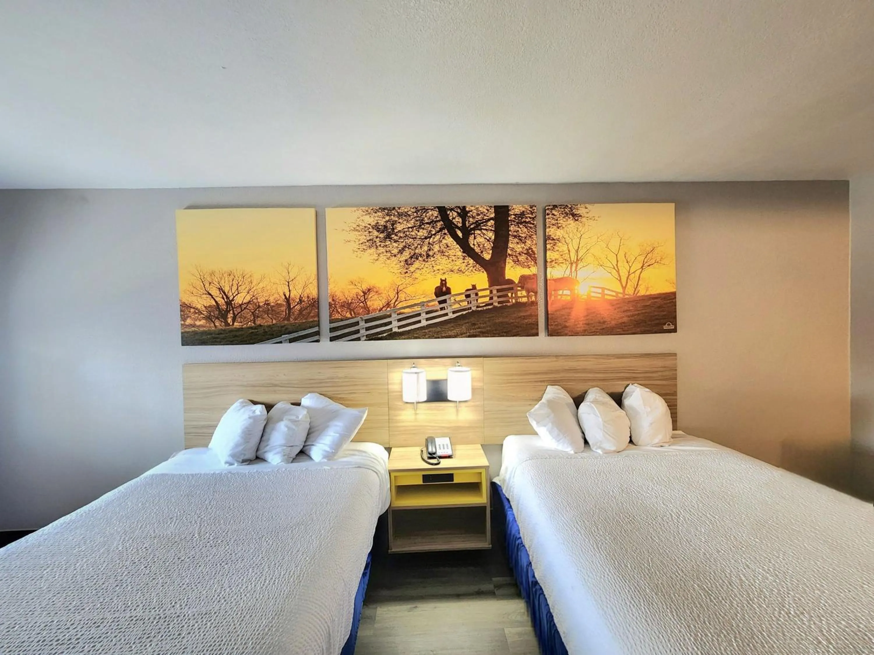 Bedroom, Bed in Days Inn by Wyndham Houston