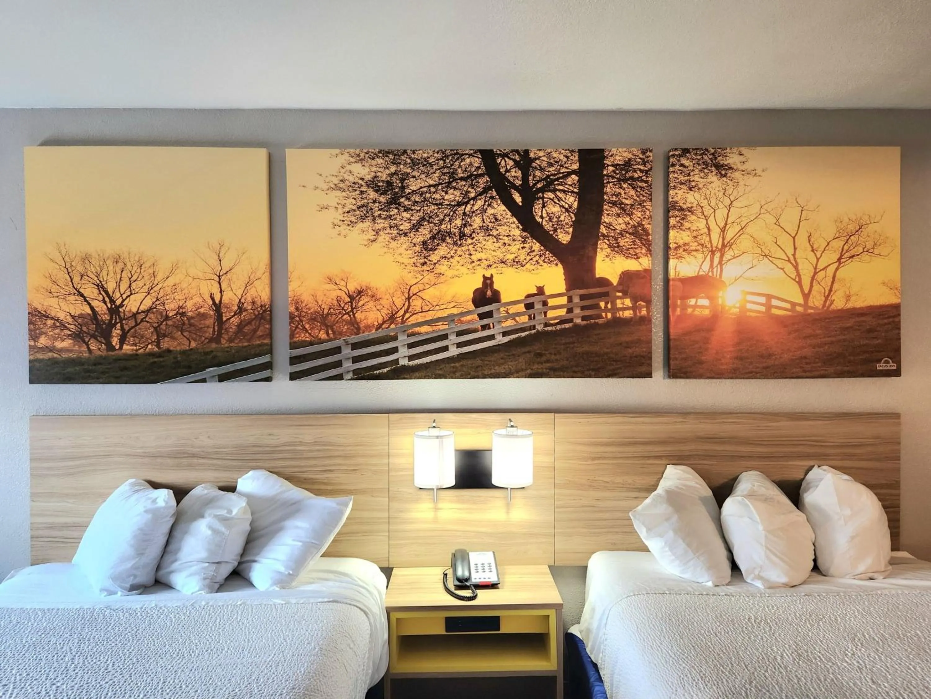 Bedroom, Bed in Days Inn by Wyndham Houston