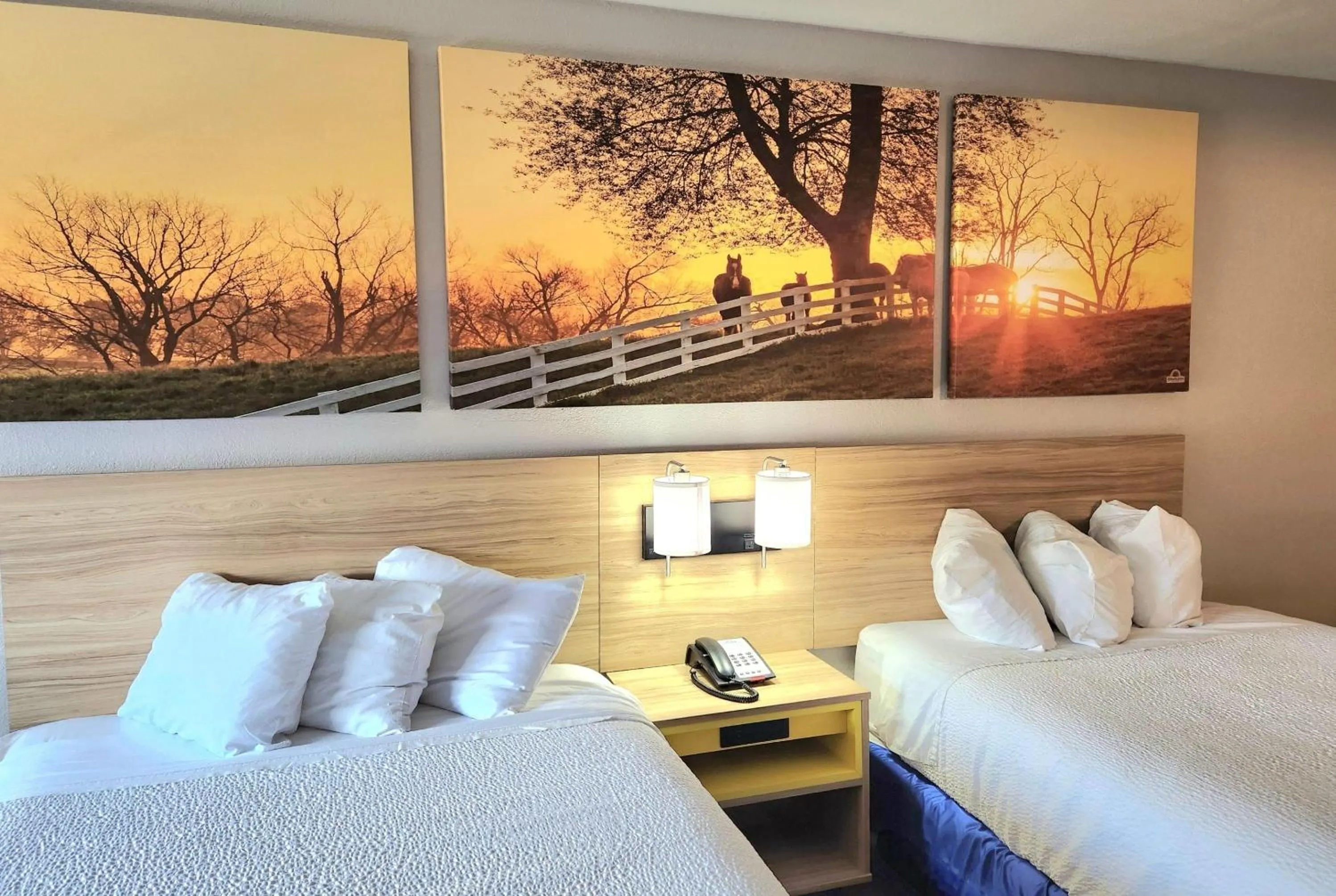Photo of the whole room, Bed in Days Inn by Wyndham Houston