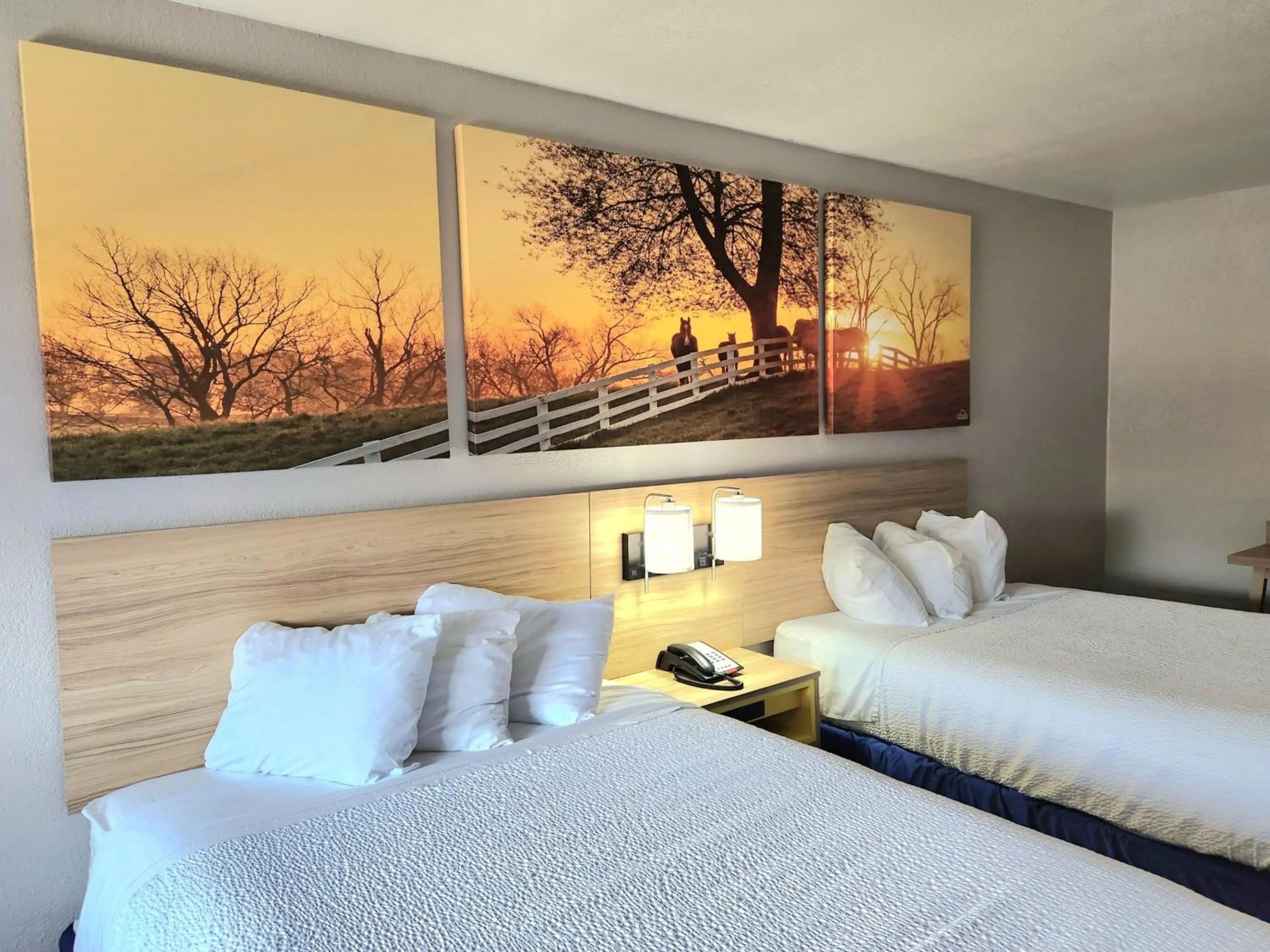 Bedroom, Bed in Days Inn by Wyndham Houston