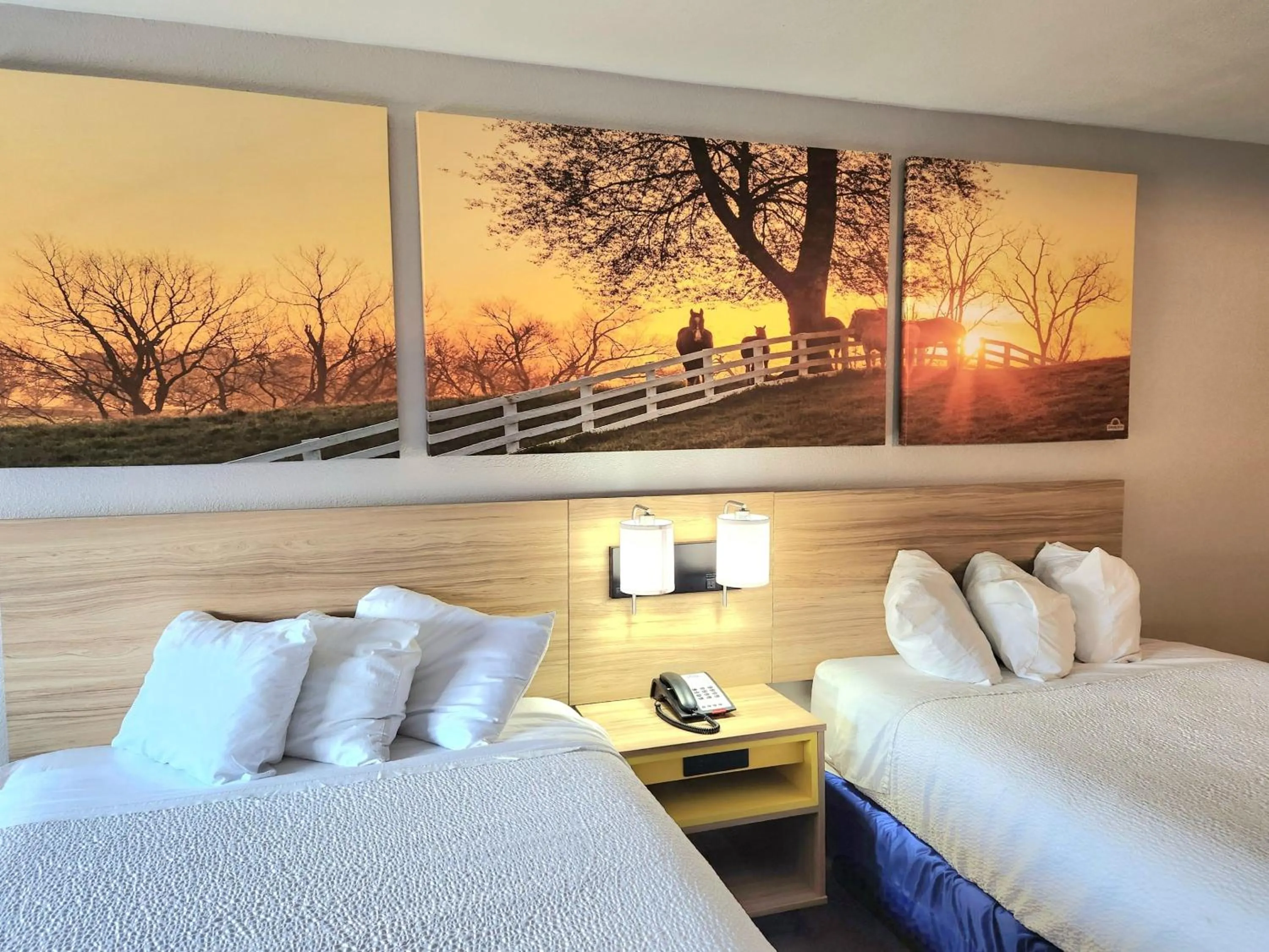 Bedroom, Bed in Days Inn by Wyndham Houston