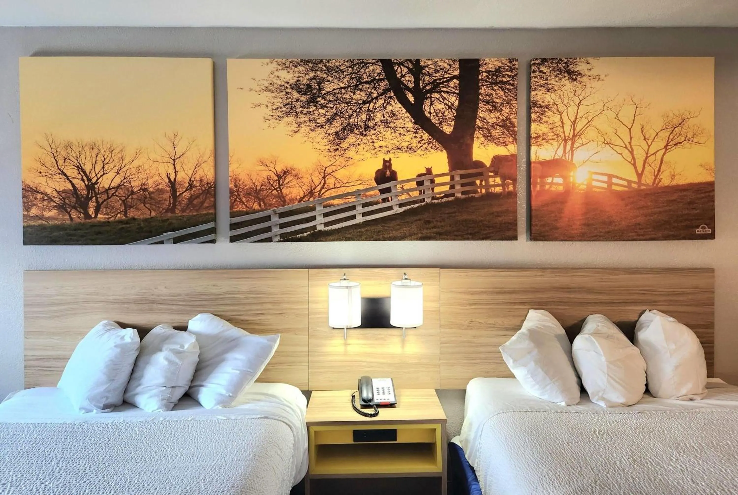 Photo of the whole room, Bed in Days Inn by Wyndham Houston