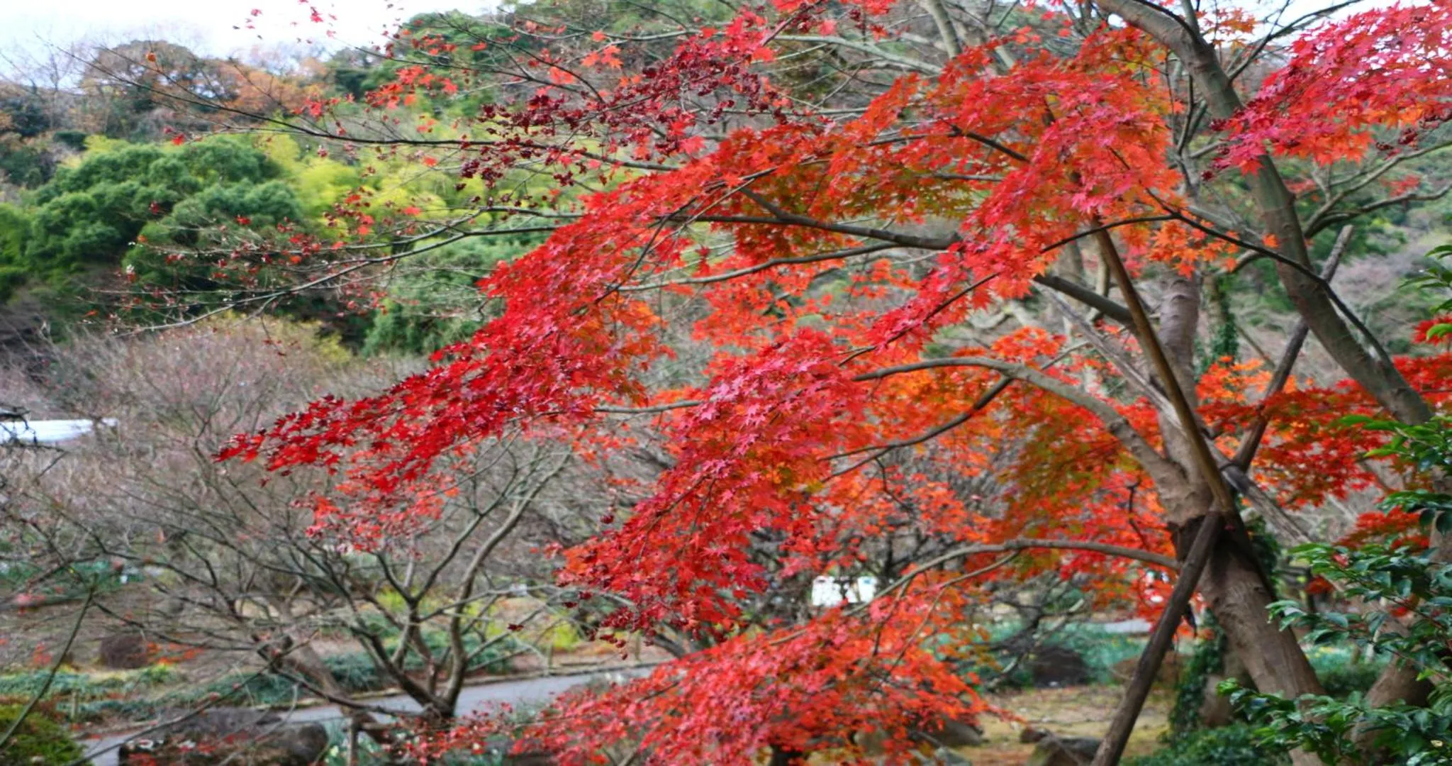 Nearby landmark in KAMENOI HOTEL Atami