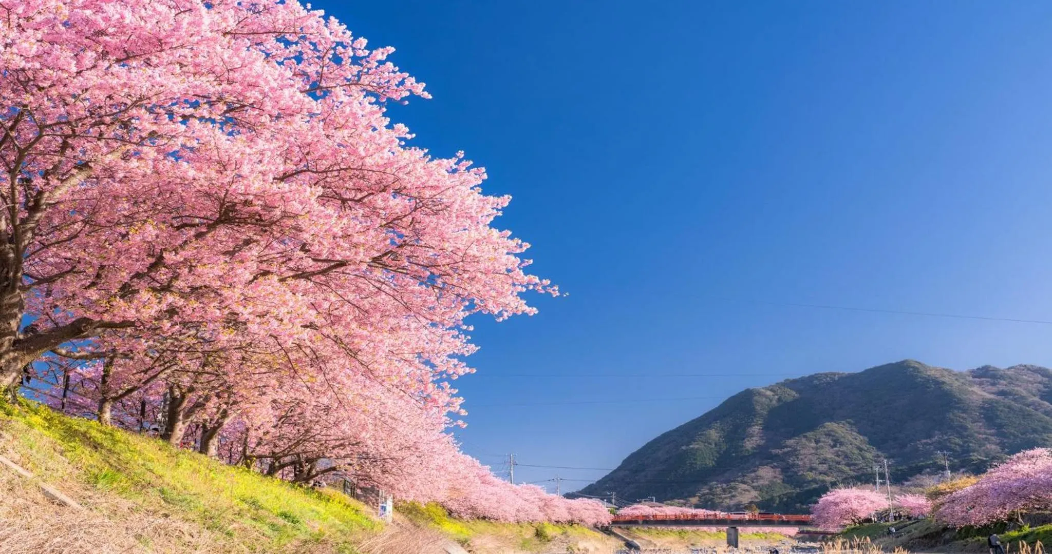 Nearby landmark in KAMENOI HOTEL Atami