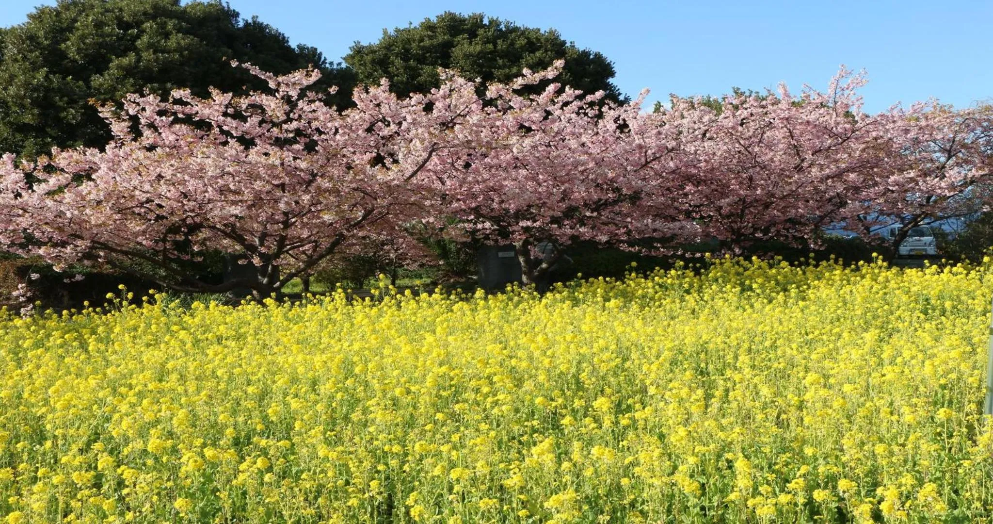 Nearby landmark in KAMENOI HOTEL Atami