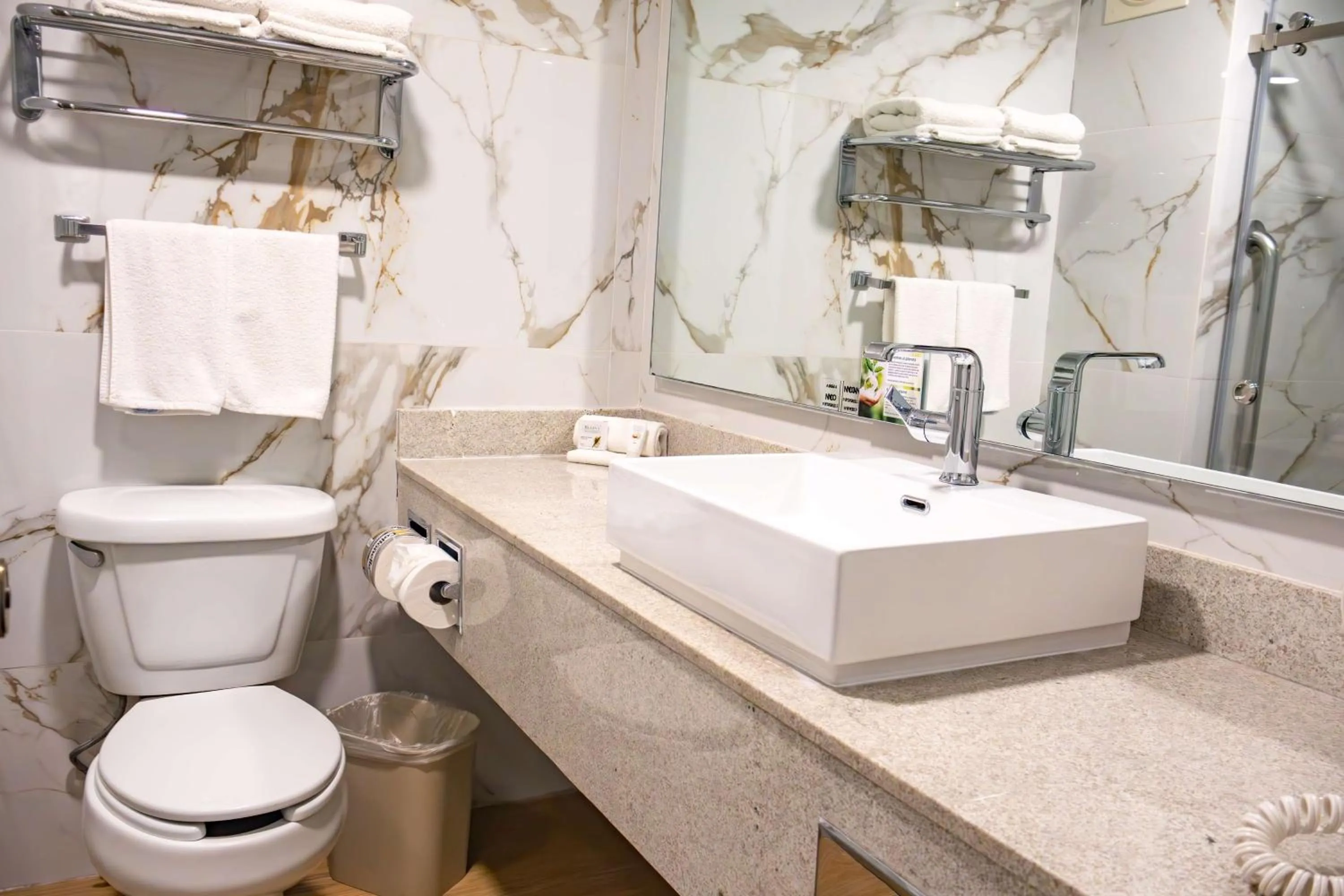 Bathroom in Best Western PLUS Monterrey Colón