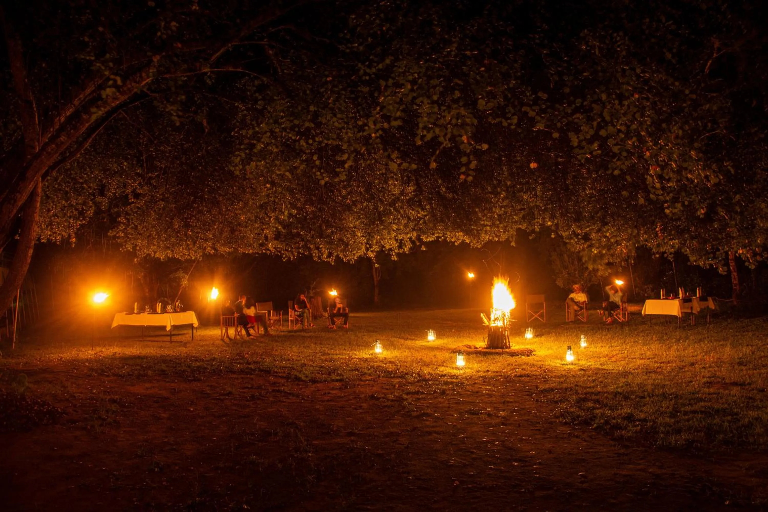 Other in Mahoora Wilpattu - by Eco Team