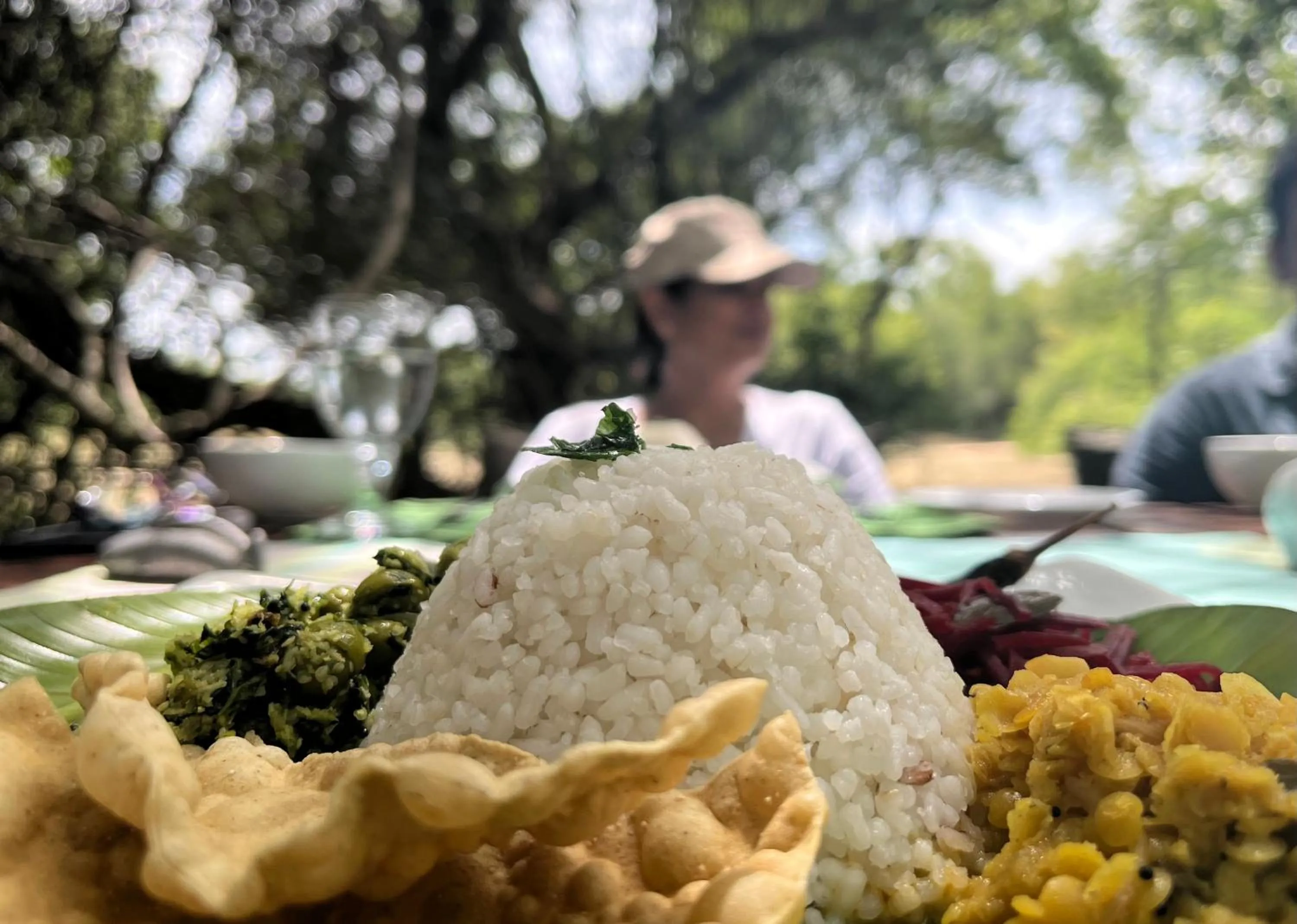 Garden in Mahoora Wilpattu - by Eco Team