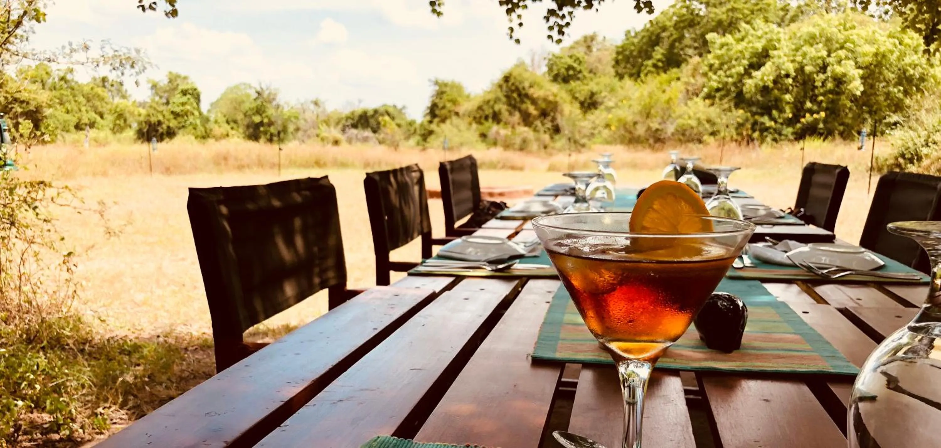 Day in Mahoora Wilpattu - by Eco Team