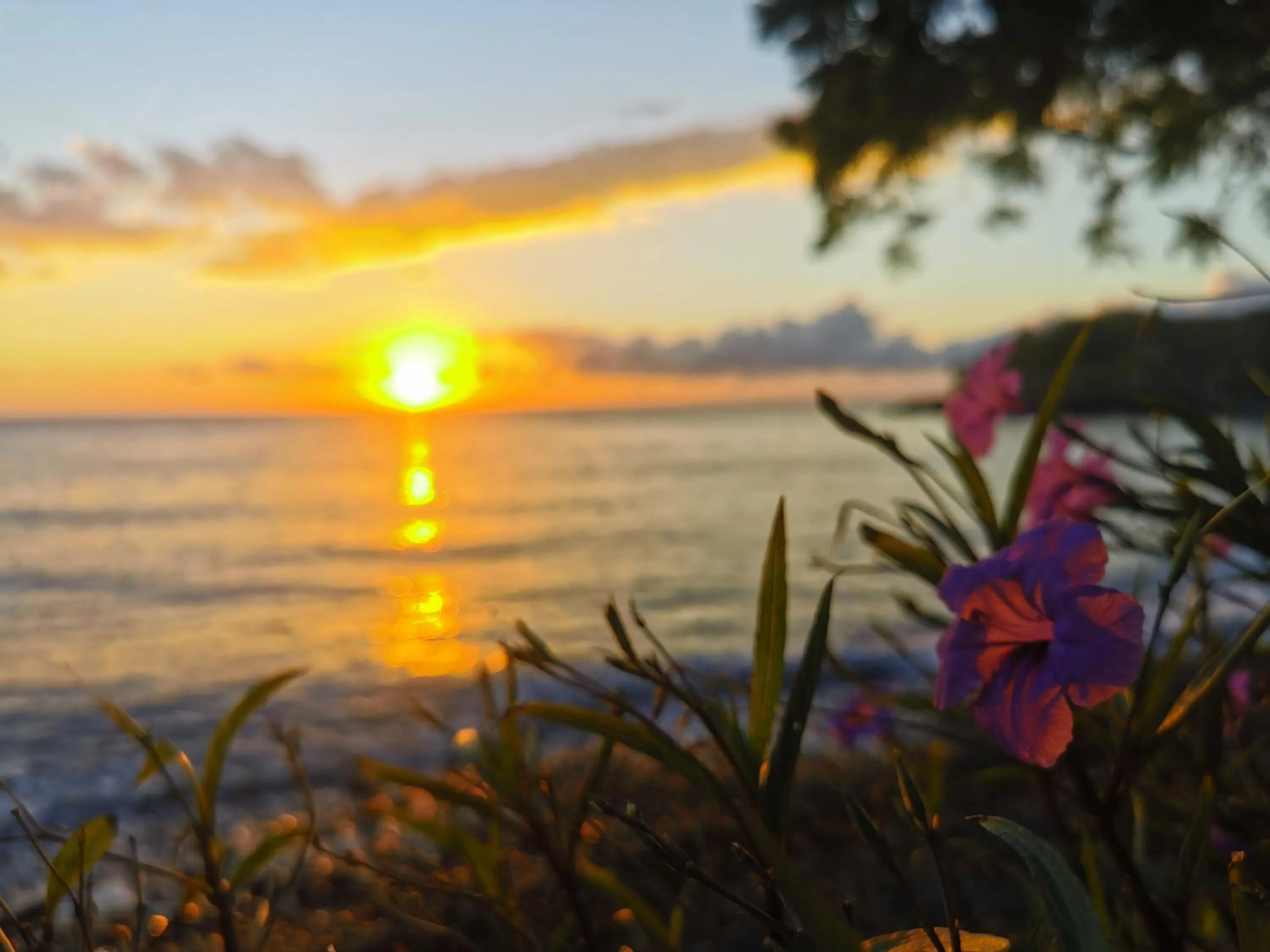 Sea view in Mimpi Resort Tulamben
