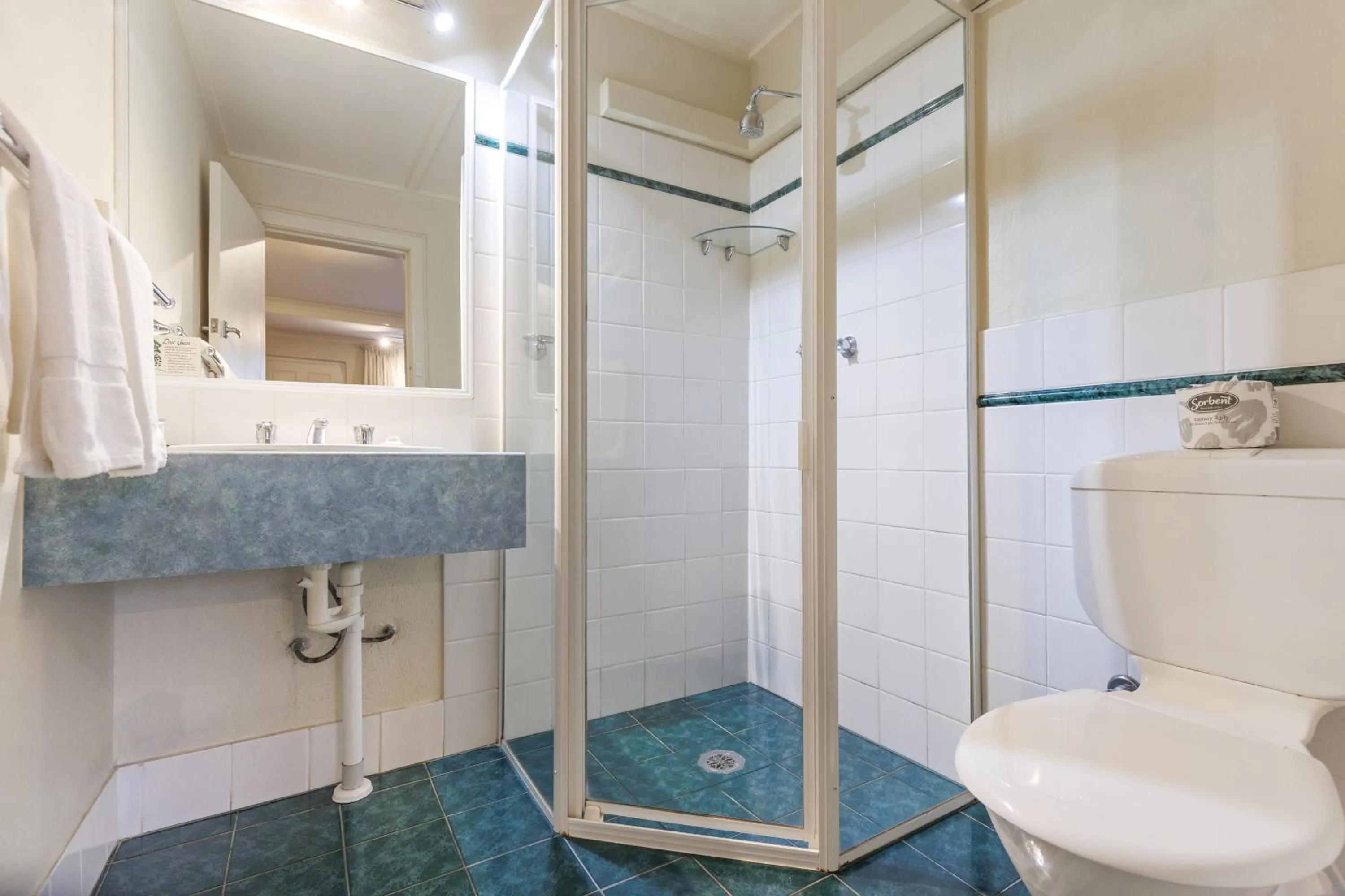 Shower in Amaroo Motel Tumuts Best Accommodation