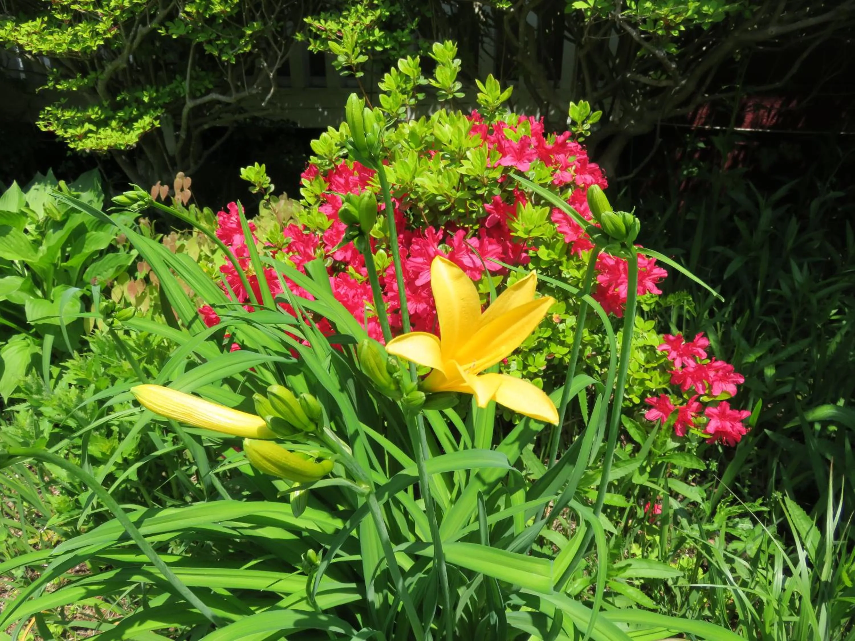 Other in Nikko Pension L'escale