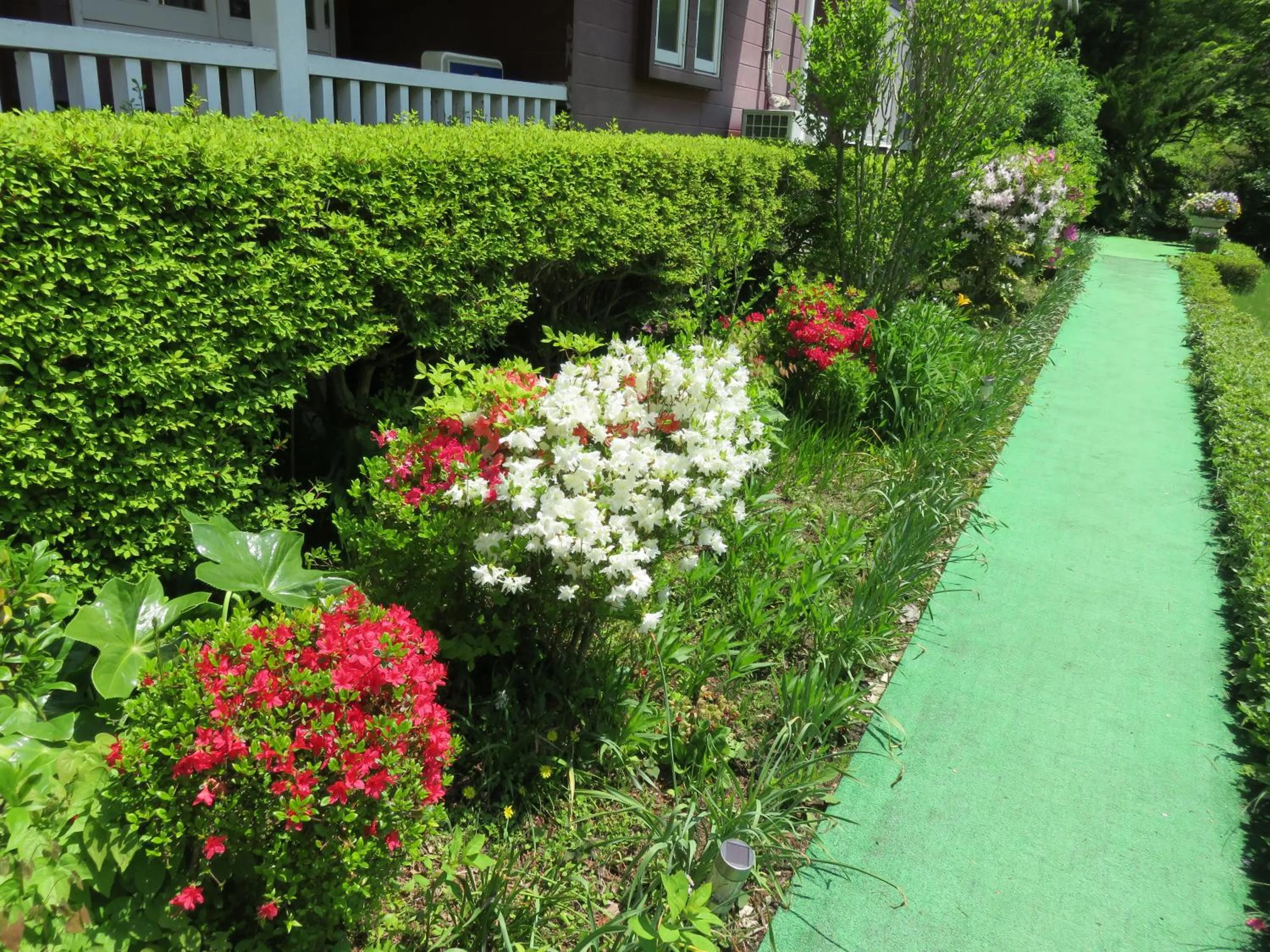 Other in Nikko Pension L'escale