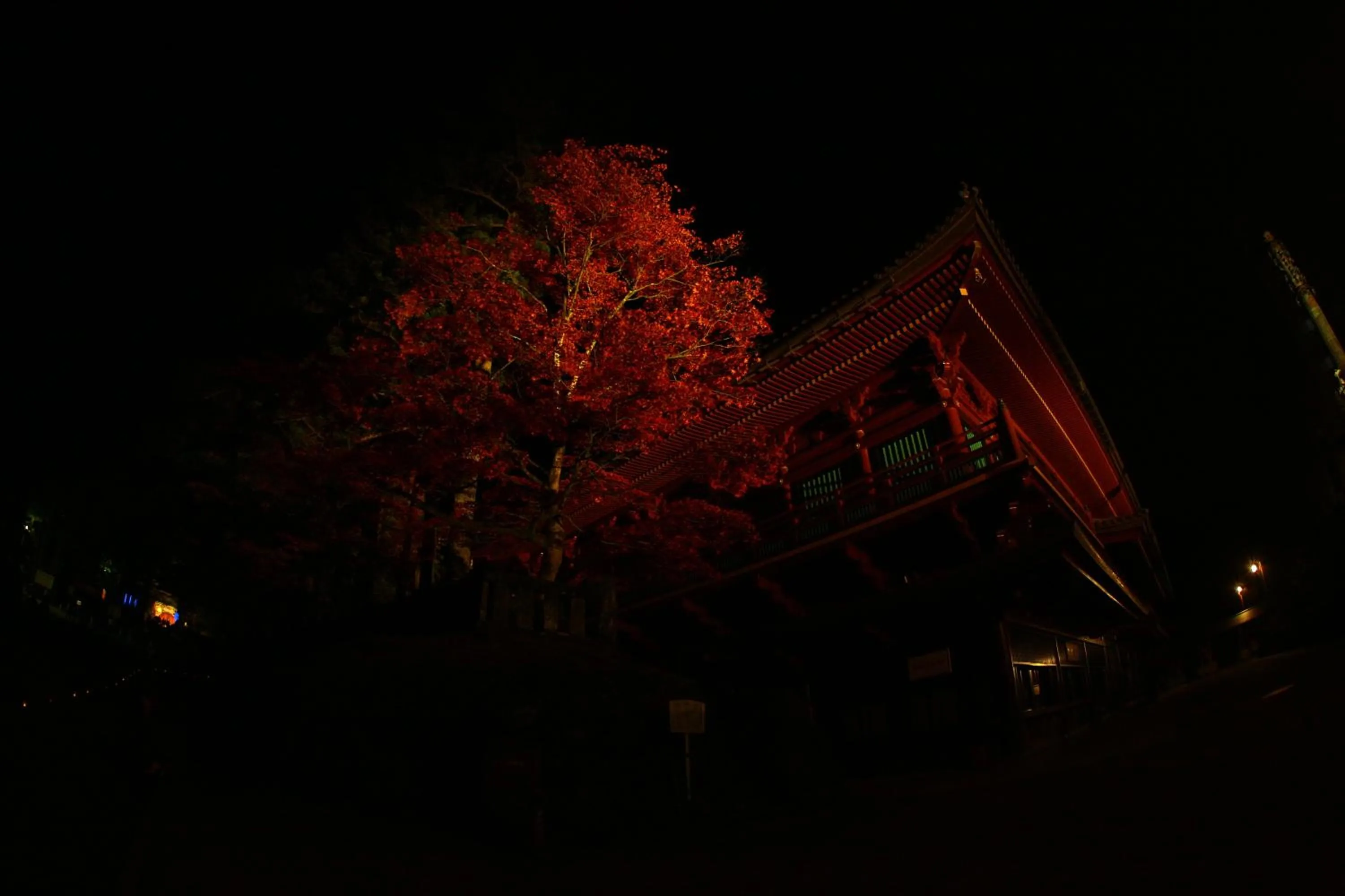 Seasons in Nikko Pension L'escale