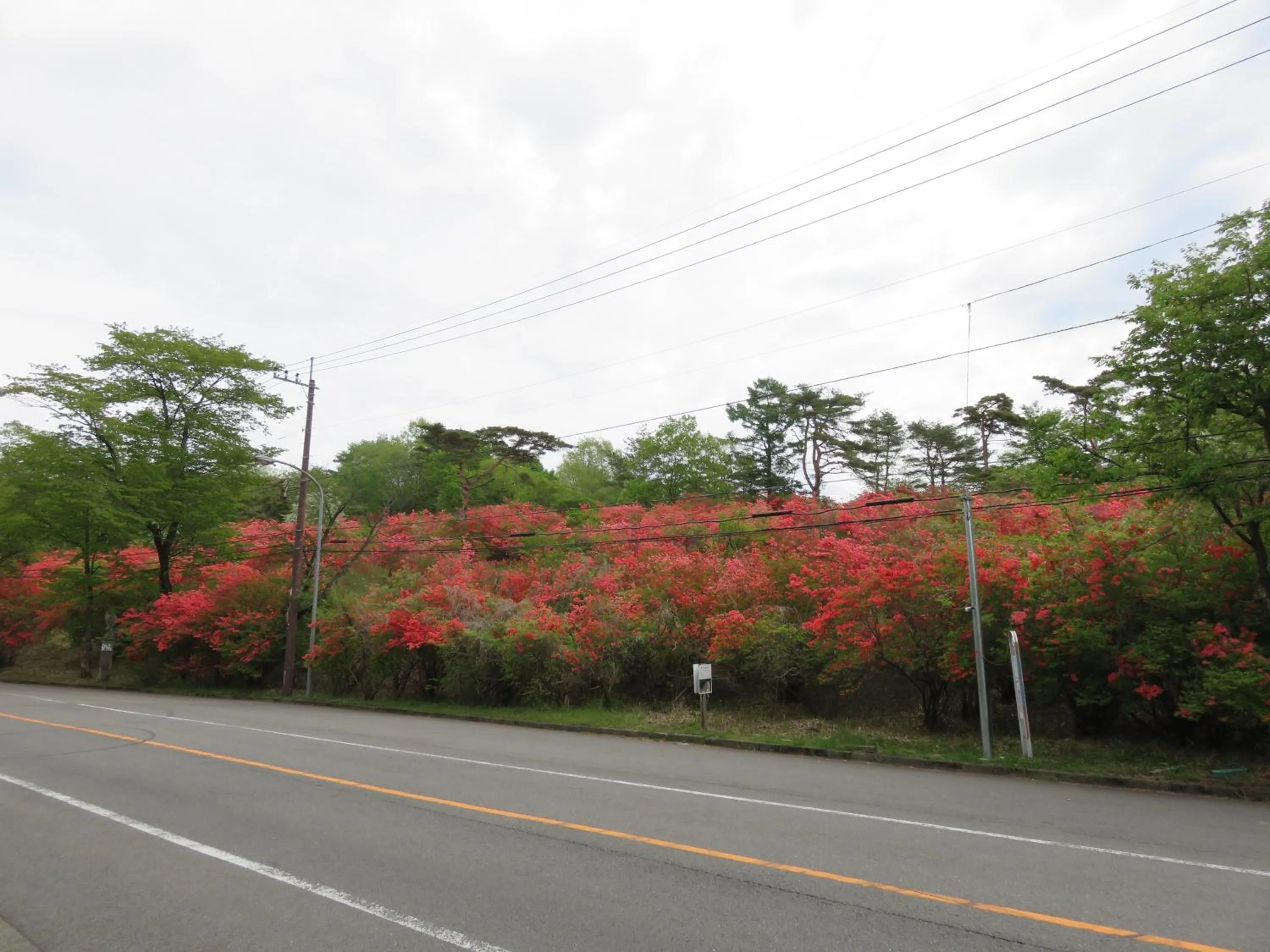 Spring in Nikko Pension L'escale