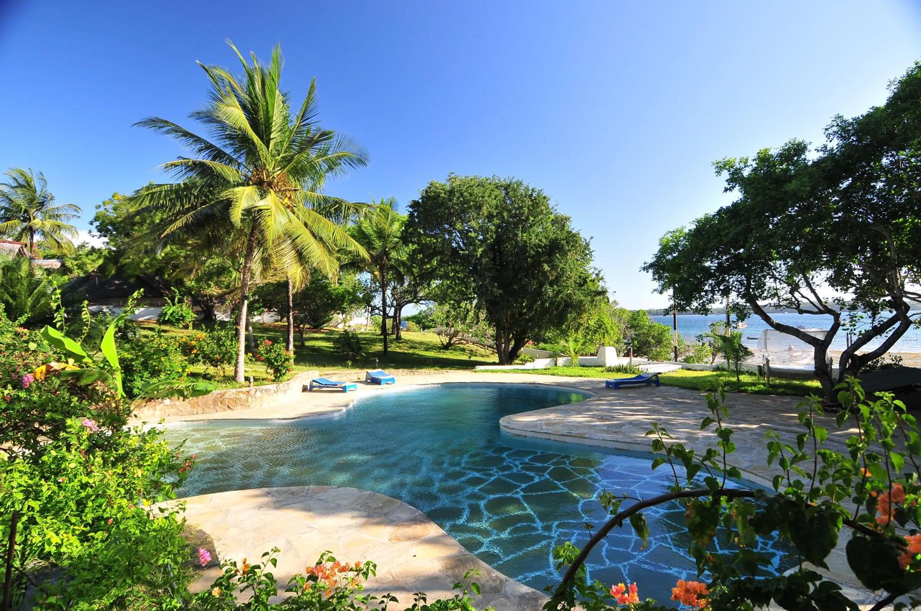 Garden in Shimoni Reef Lodge