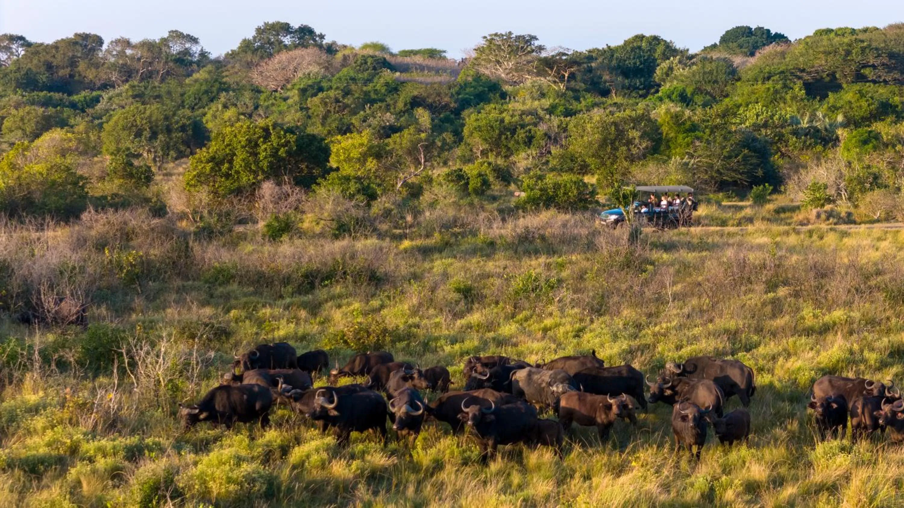 Activities in Makakatana Bay Lodge
