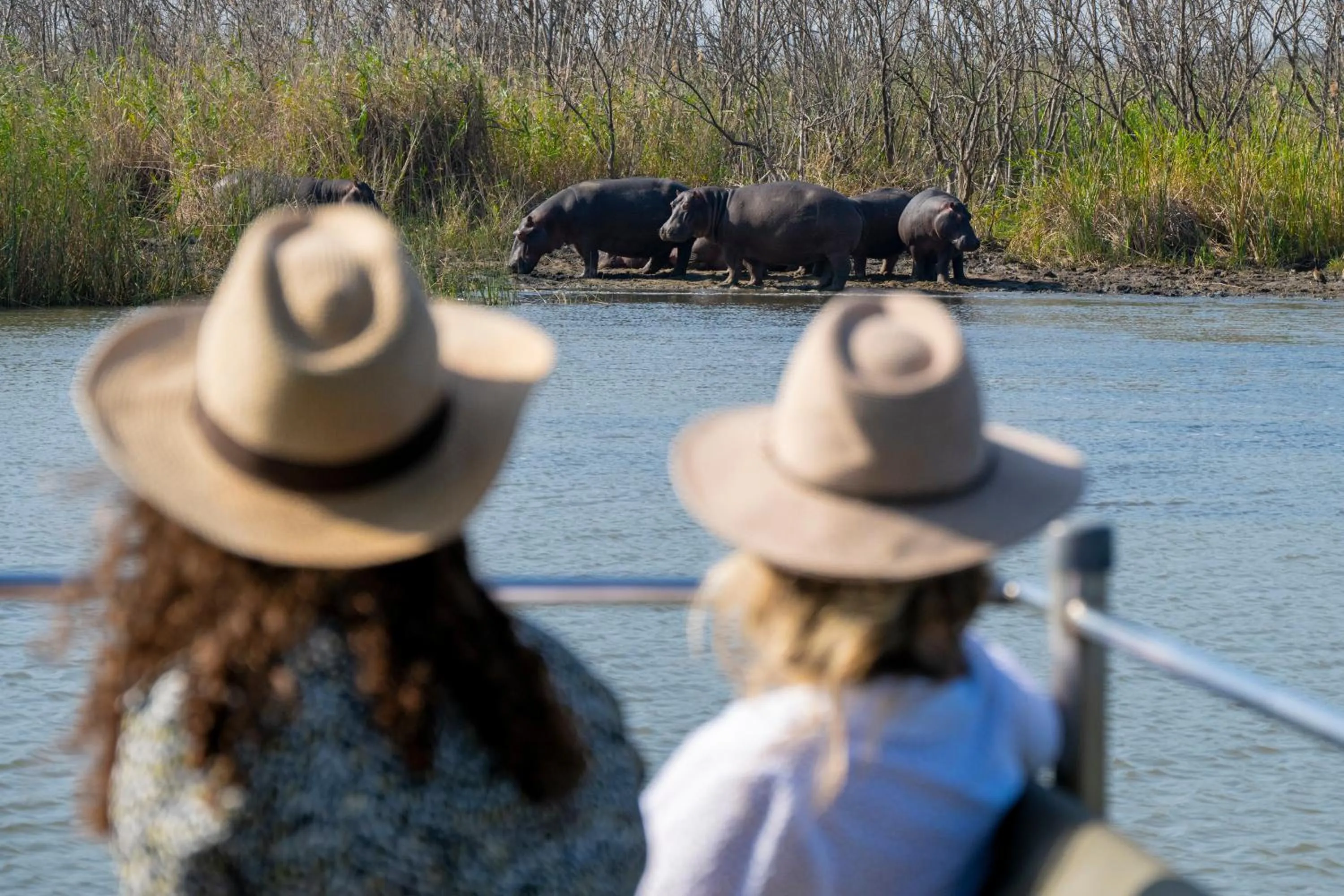 Activities in Makakatana Bay Lodge