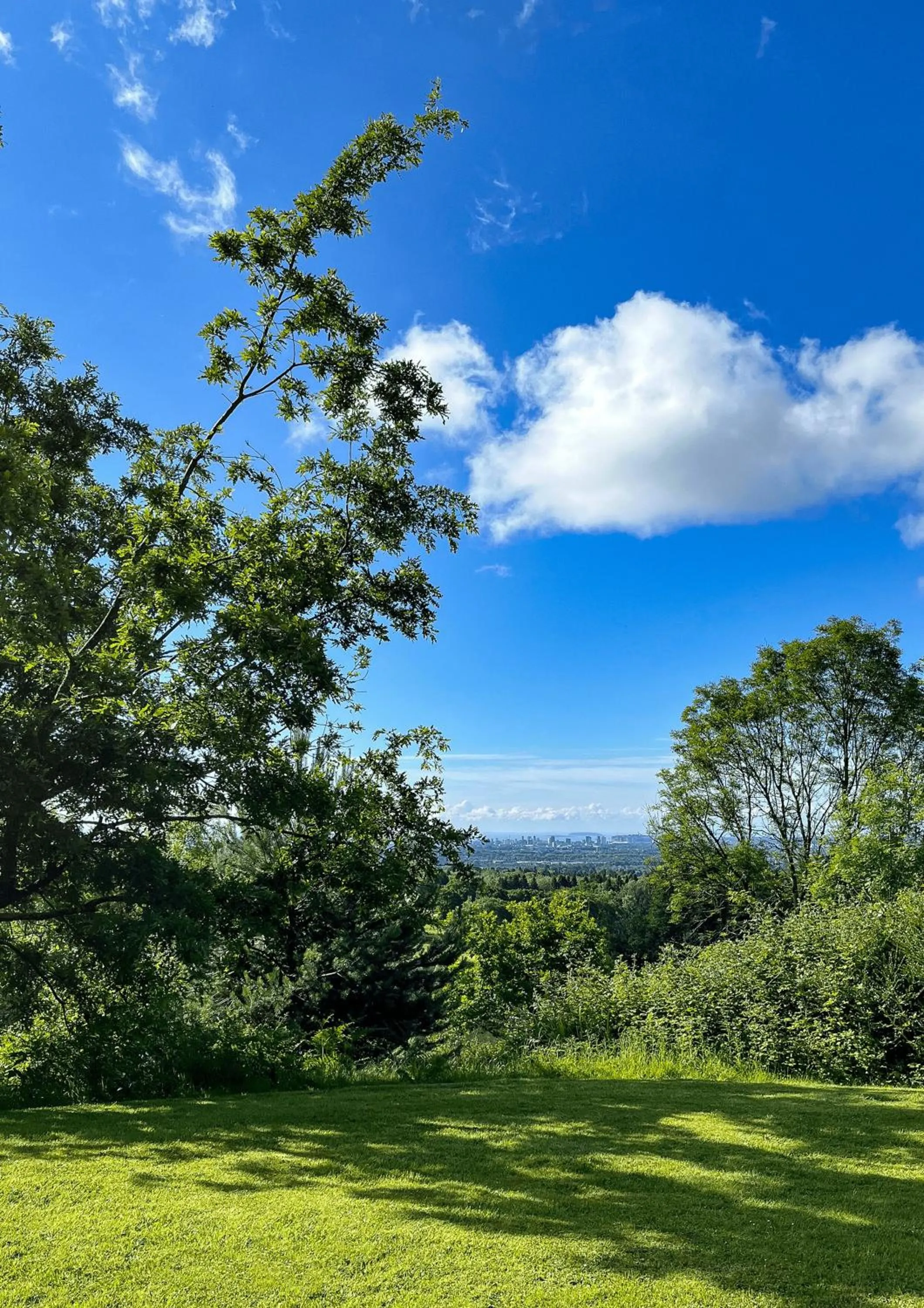 Day in New House Country Hotel