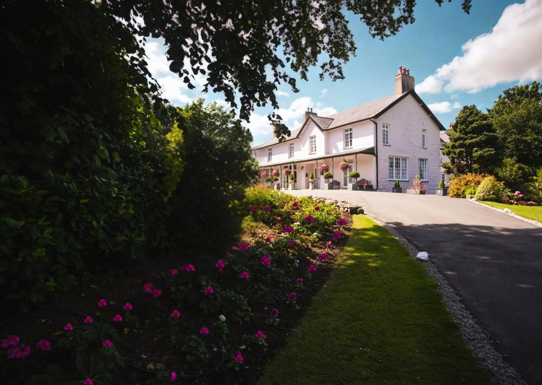 Restaurant/places to eat in Plas Dinas Country House