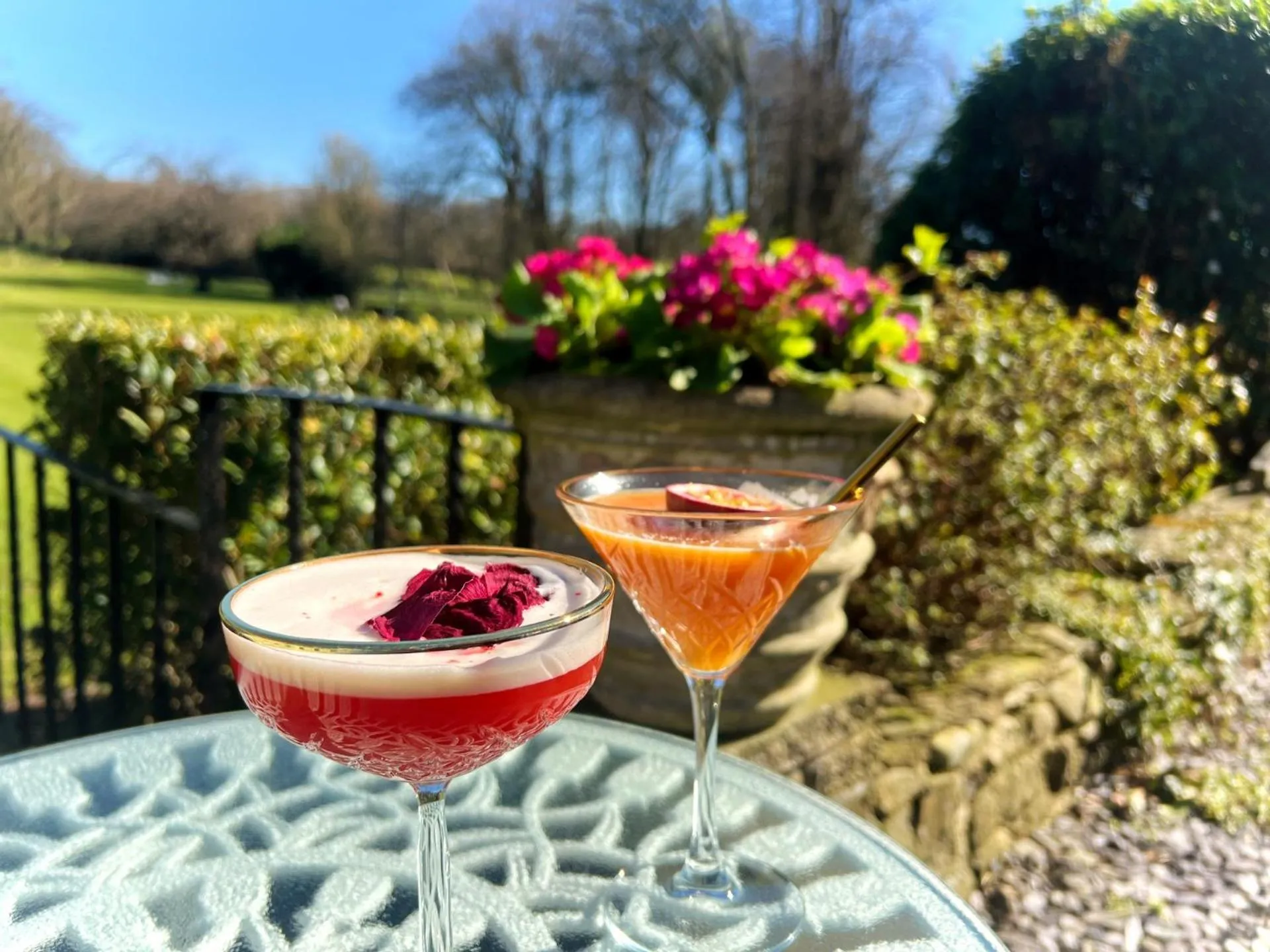 Garden in Plas Dinas Country House