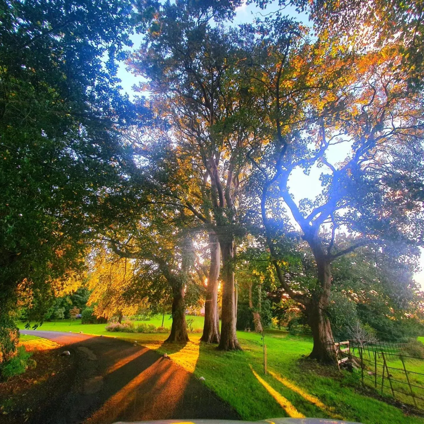 Garden view in Plas Dinas Country House
