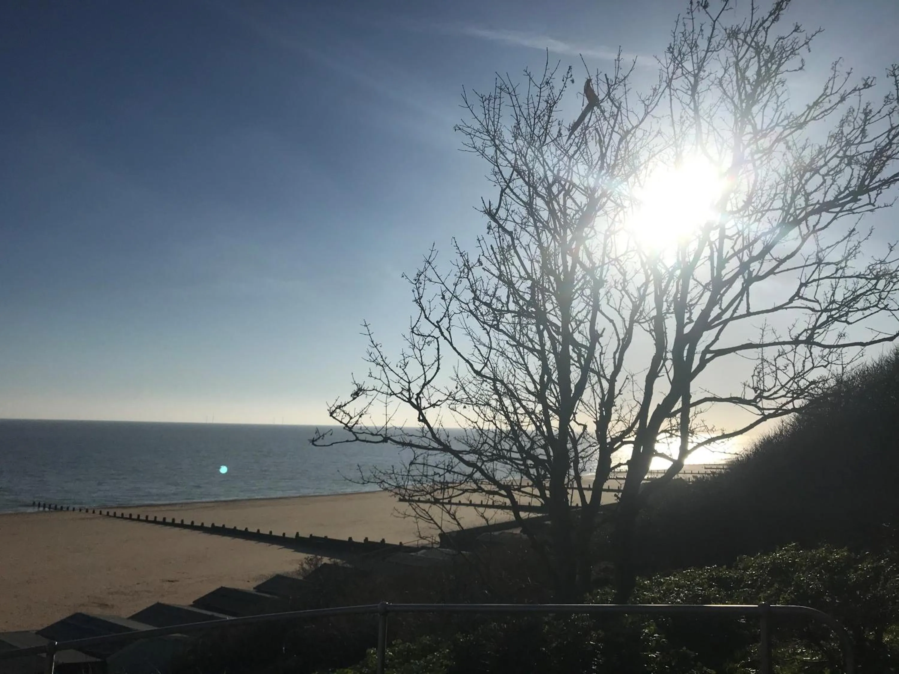 Activities in Frinton Escapes