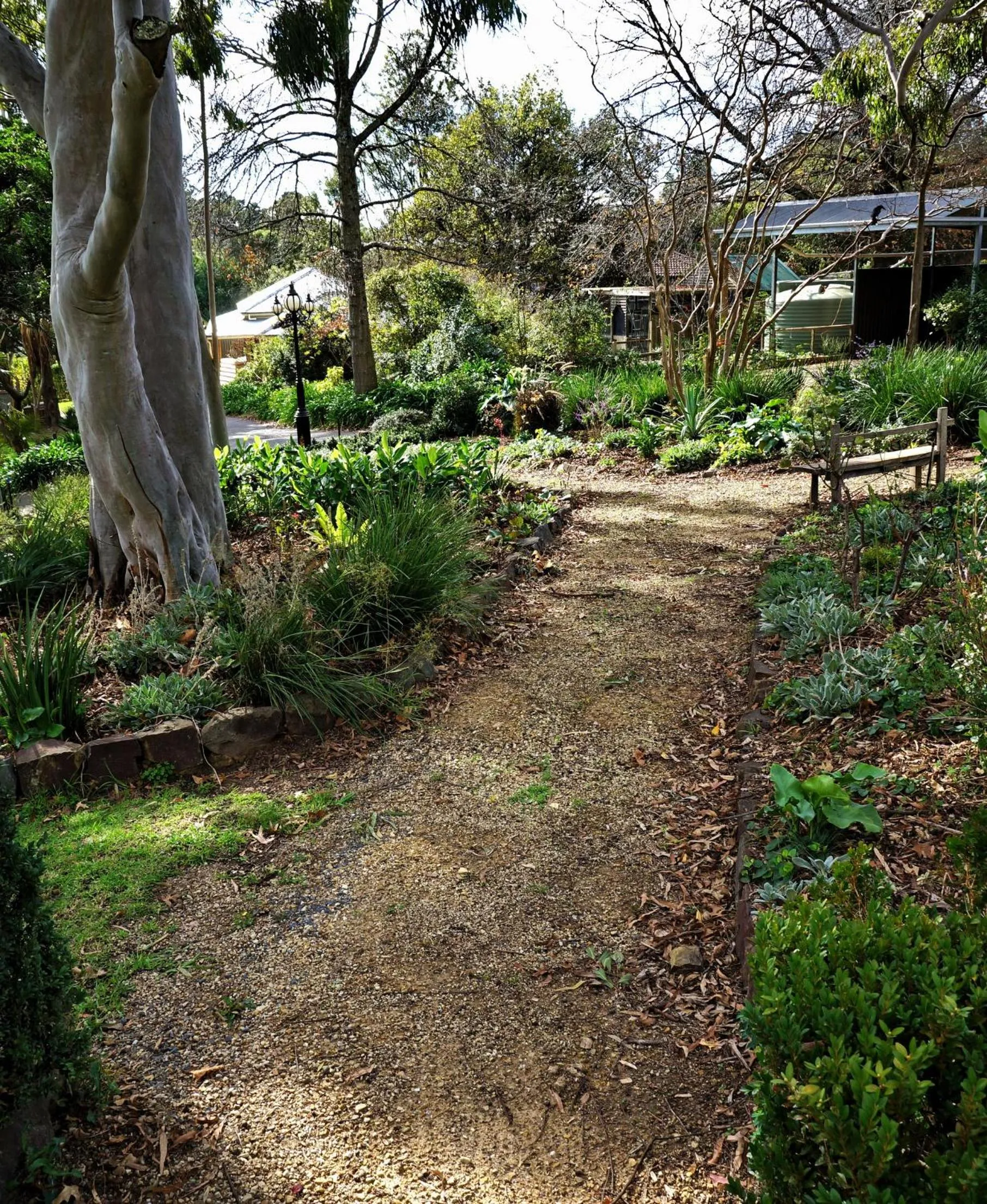 Garden view in The Oaks Lilydale Accommodation