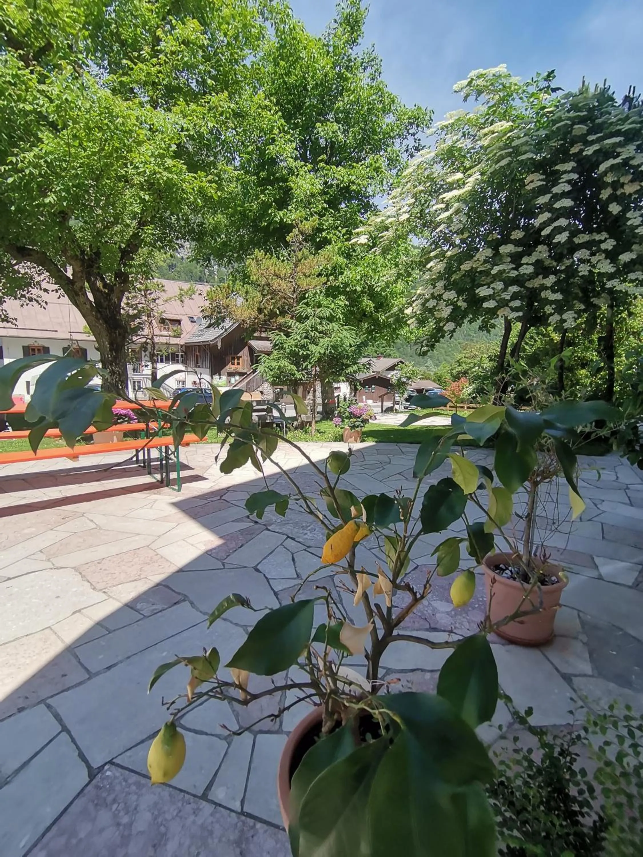 Spring in Pension Almhof Baumgarten